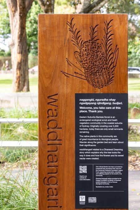 Wooden sign with a carved Banksia Scrub plant and informational text about native plants in Sydney, Australia.