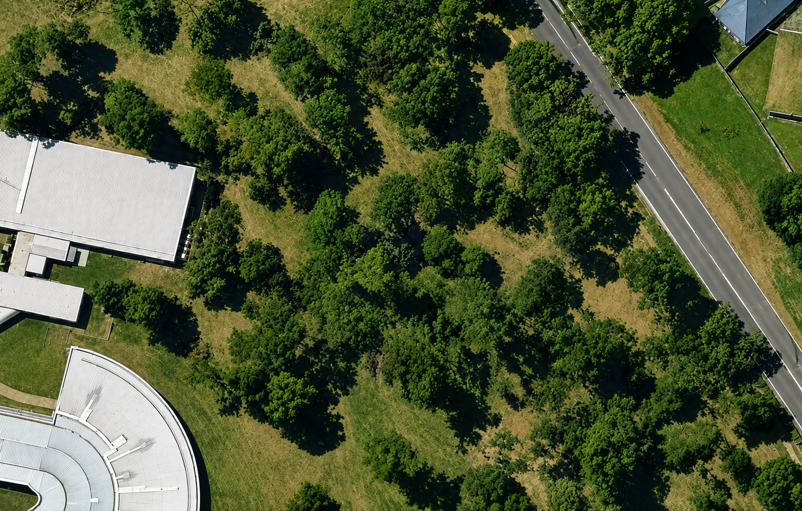 Aerial view of a green park with numerous trees, a curved white-roofed building, adjacent smaller buildings, and a winding road on the right side.