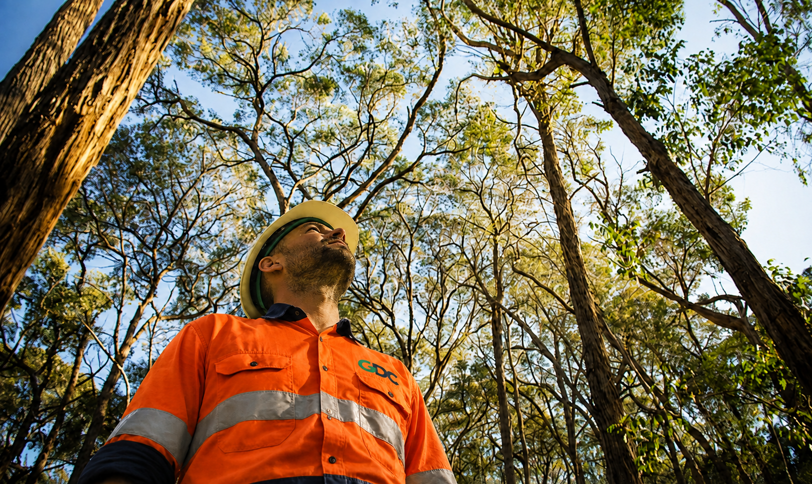 A man wearing an orange safety shirt with reflective strips, a hard hat, and black sleeves, standing in a forested area with tall trees and bright sunlight overhead.