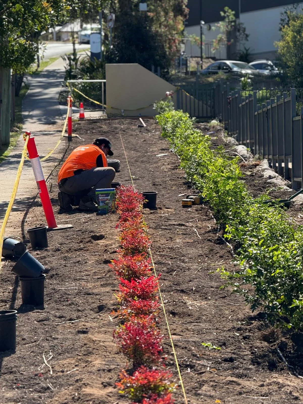 A worker planting small red and green shrubs along a garden bed, with gardening tools and supplies nearby, on a sunny day.