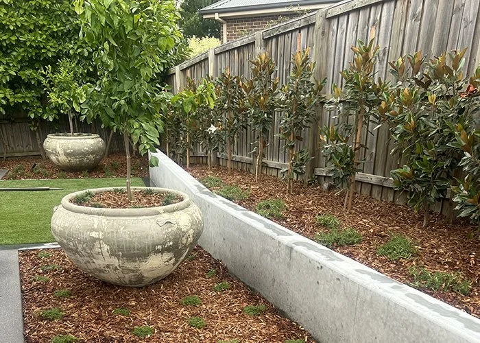 PLANTING