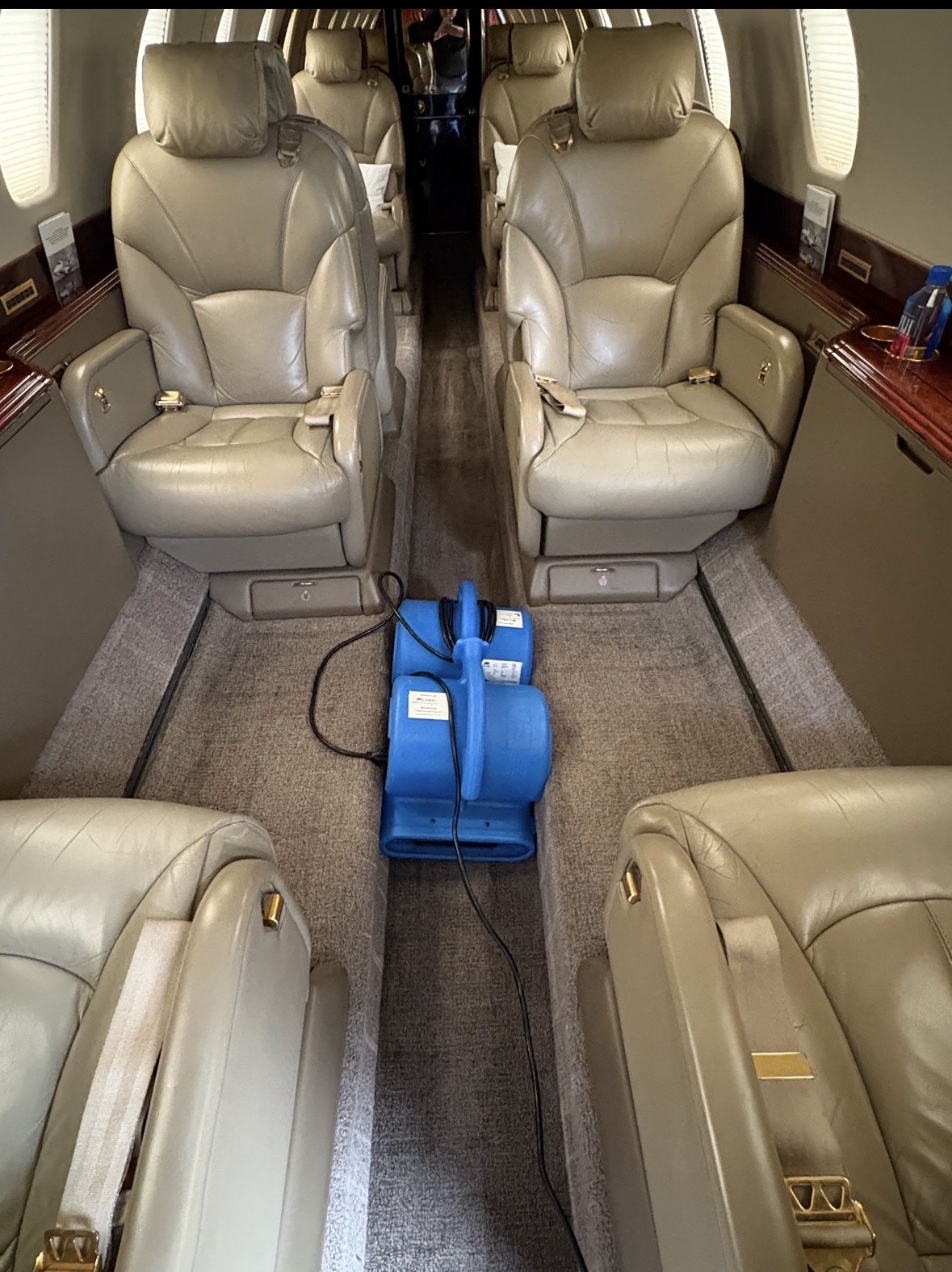Carpet Shampoo & Stain Removal Services