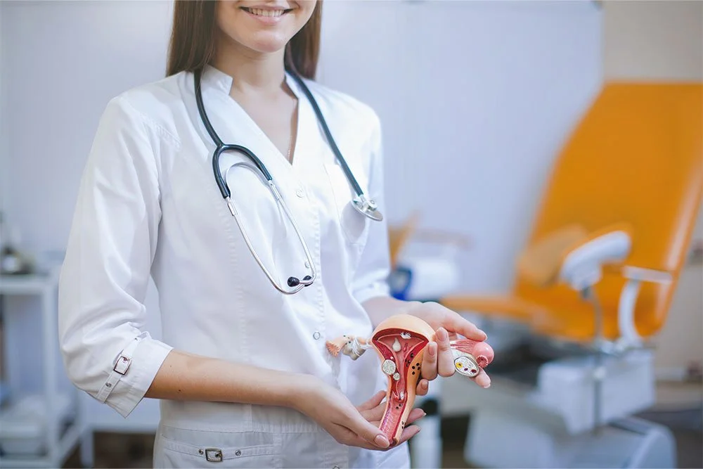 Enfermera sosteniendo un modelo anatómico del aparato reproductor femenino en un consultorio médico.