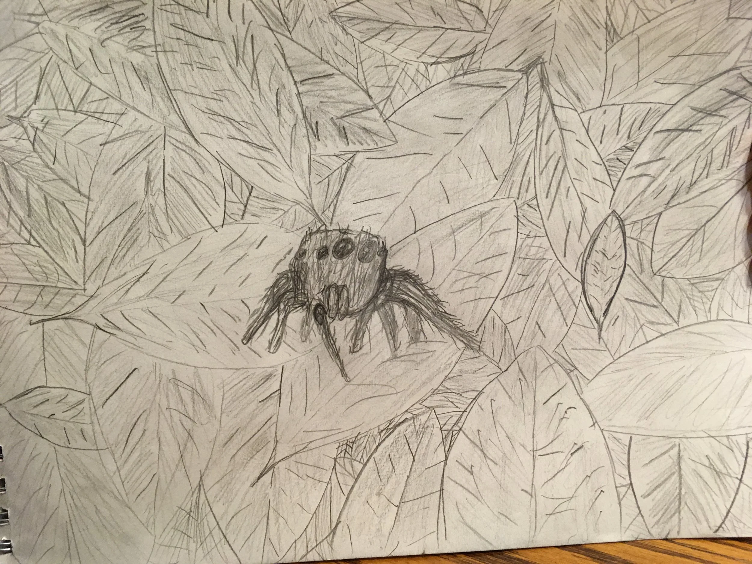 drawings-4.jpg