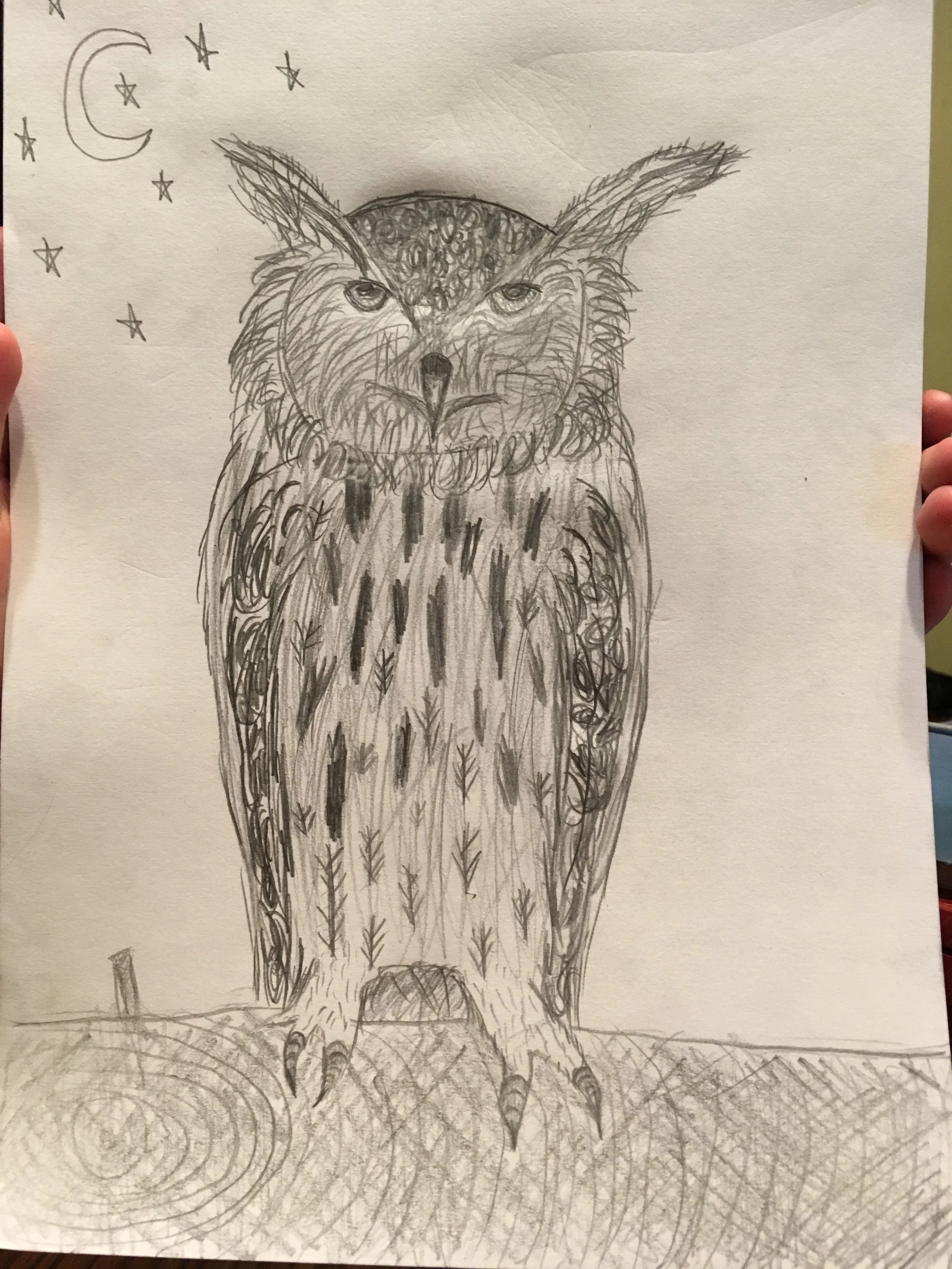 drawings.jpg