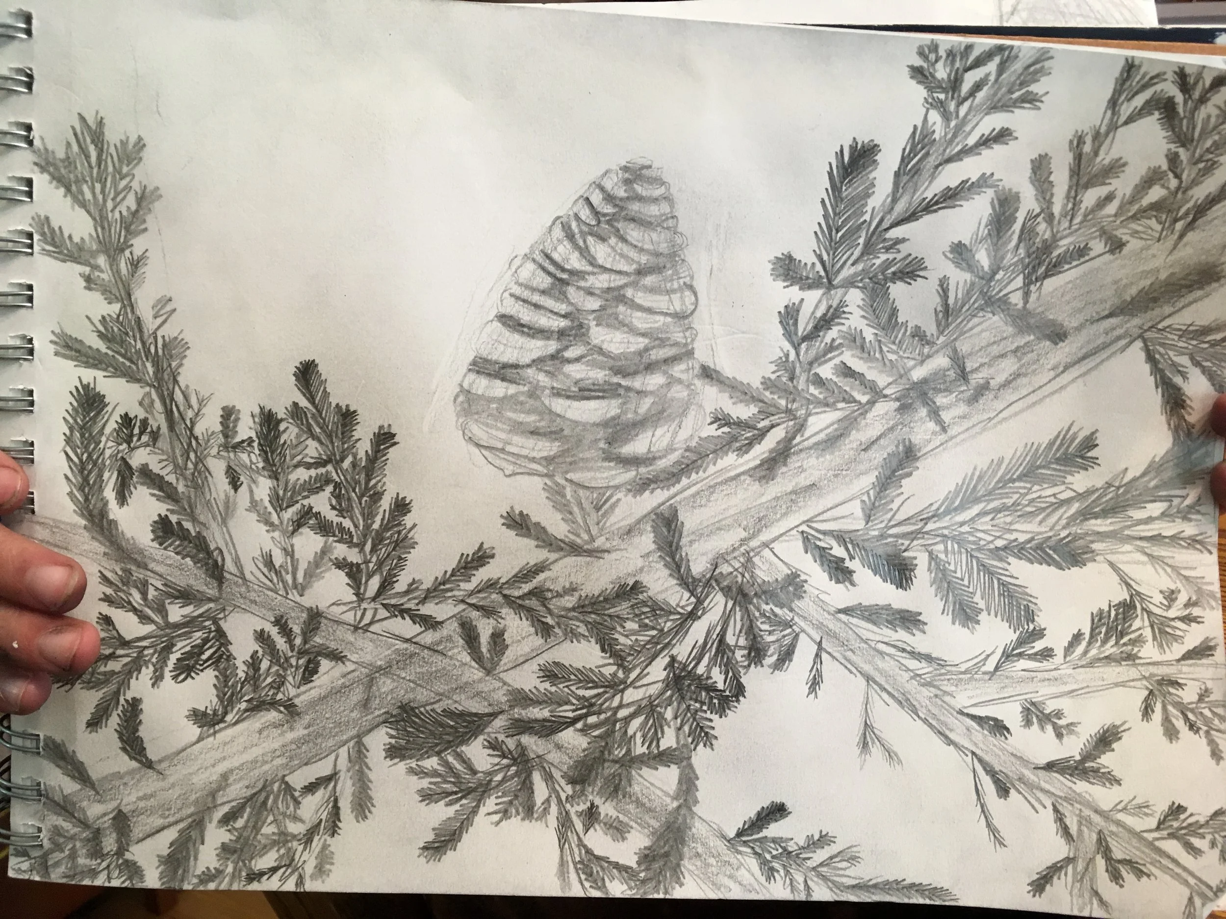 drawings-2.jpg