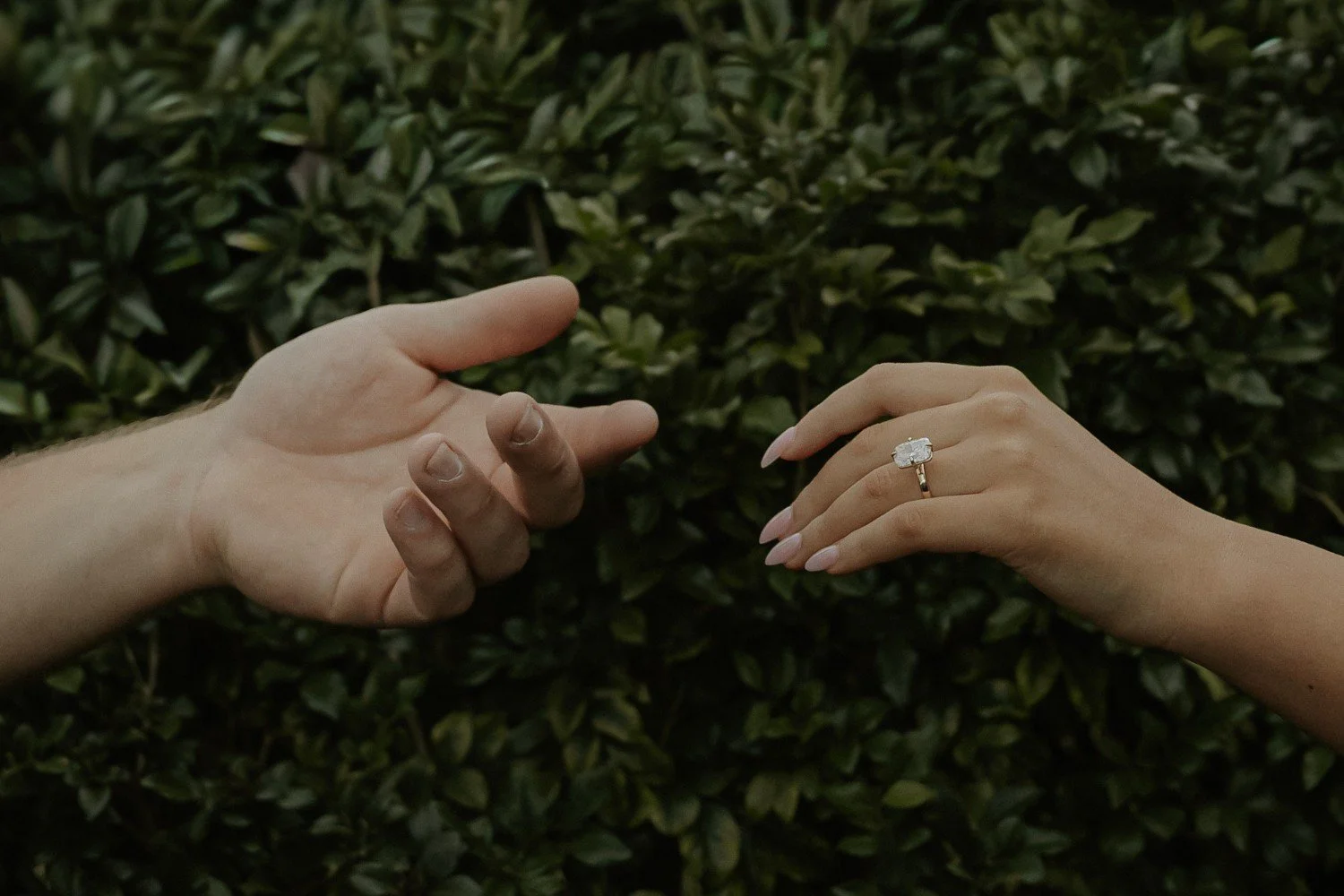 A person's left hand extended, wearing an engagement ring with a large oval diamond, reaching towards another person's right hand, possibly indicating a proposal, with a background of dense green foliage.