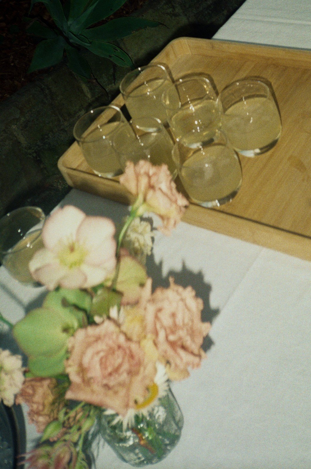 Six empty beer glasses on a wooden tray, a bouquet of light pink and cream flowers in a glass vase, with a white surface and dark greenery in the background.