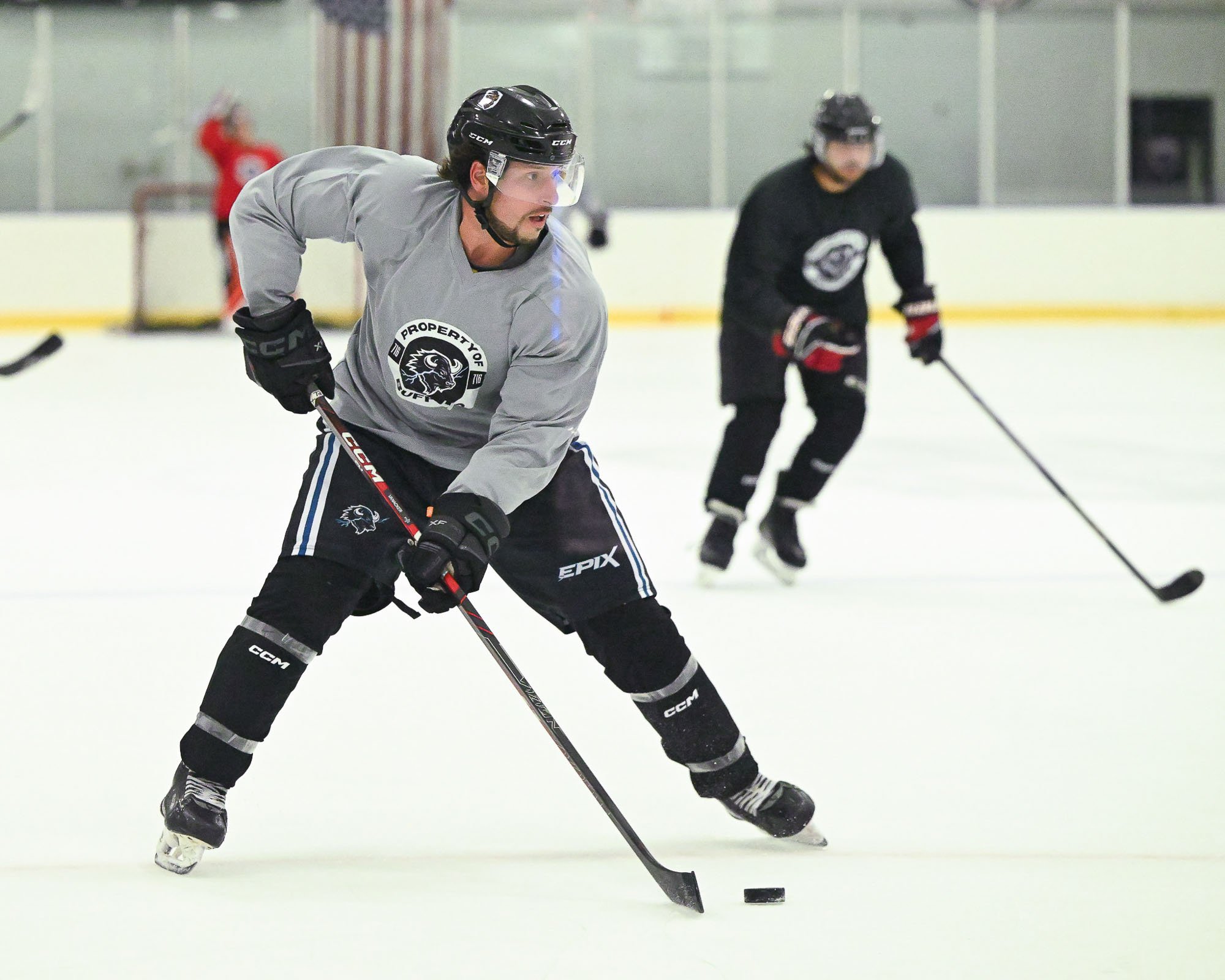 APHL Buffalo Tempest Free Agent Camp 08/15/26 PHOTOS 