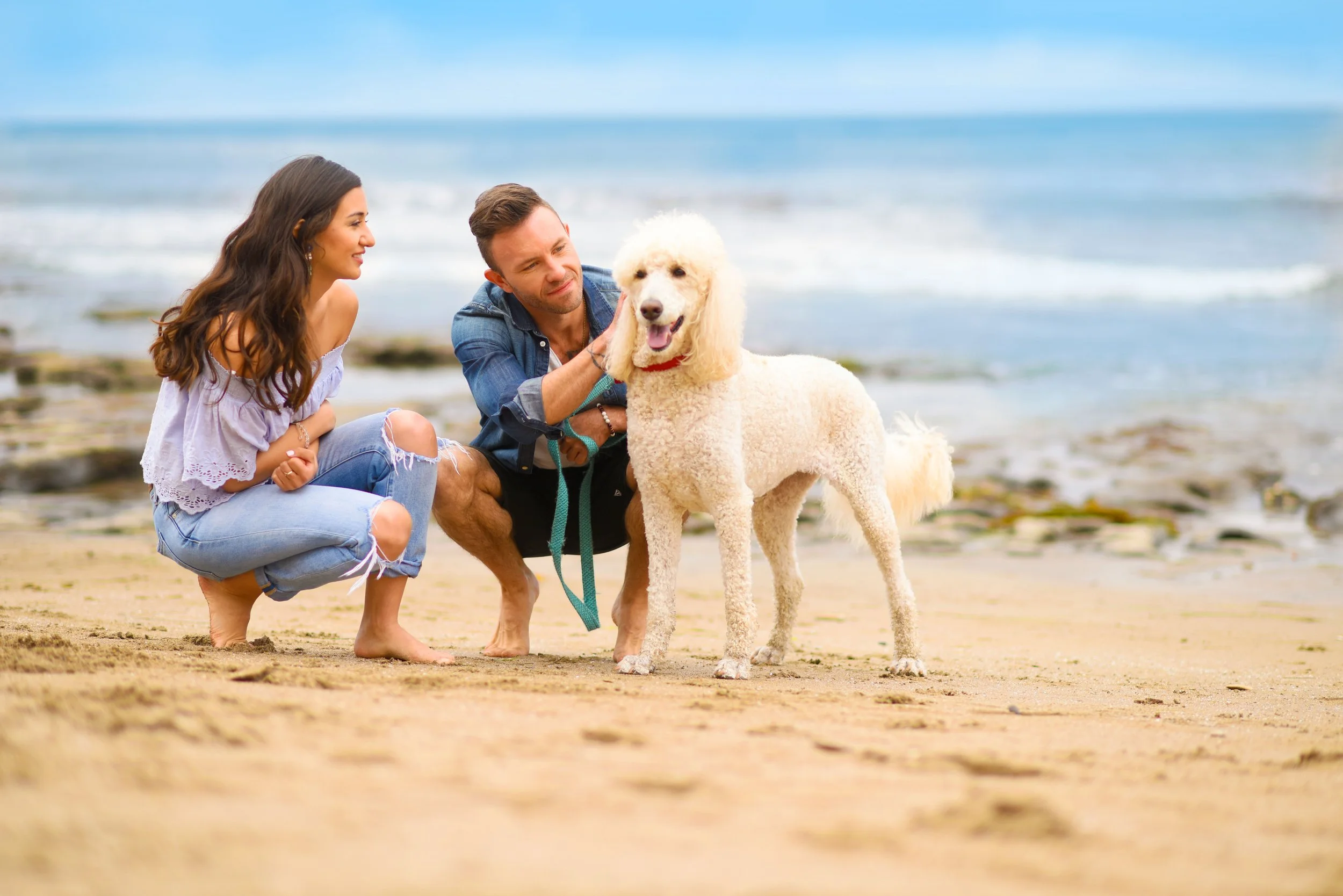 DSC_9066_Couple on Beach Petting Poodle.jpeg