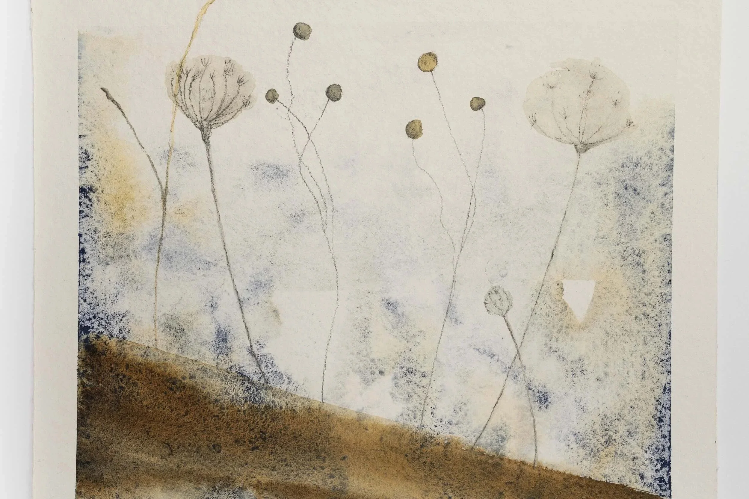 A watercolor painting of several tall, thin stems with small, circular seed pods or flowers at the top, in muted earthy tones.