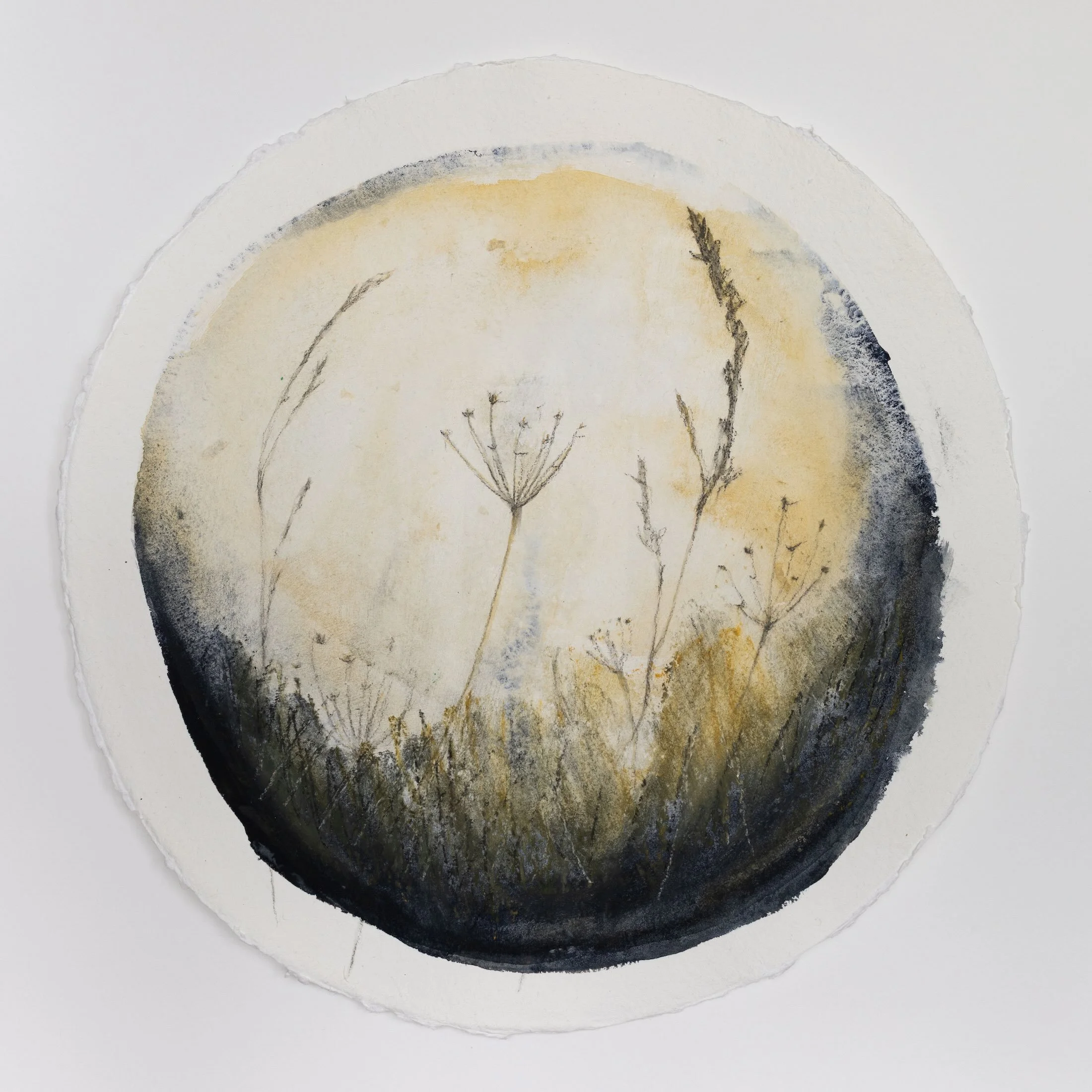 Seedpods VI