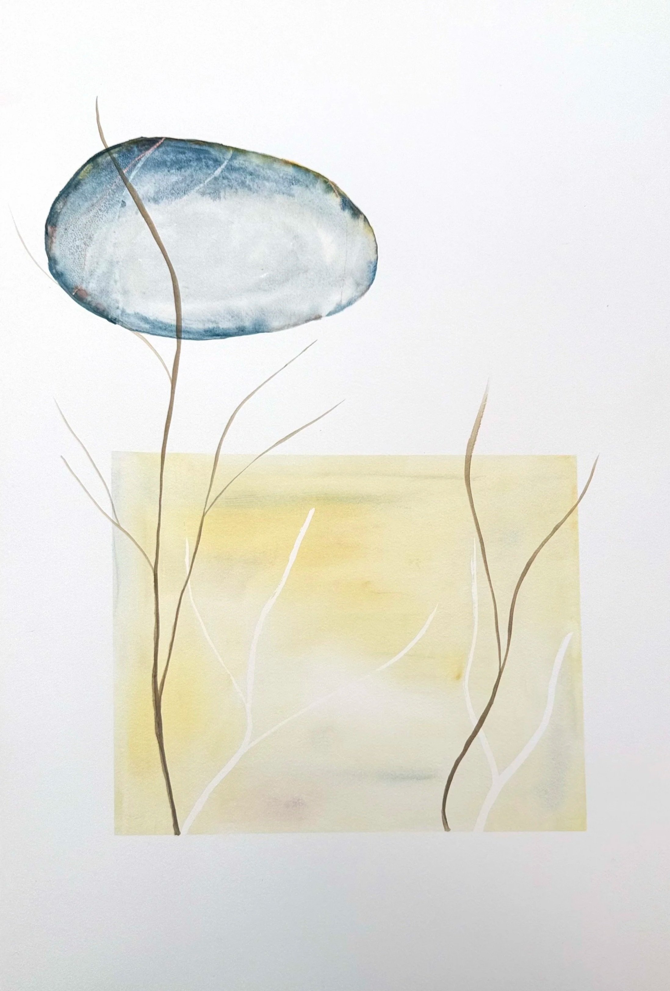 Watercolor painting of a sea turtle with a round shell, surrounded by thin, curved lines resembling seaweed, against a light background with a yellow rectangle.