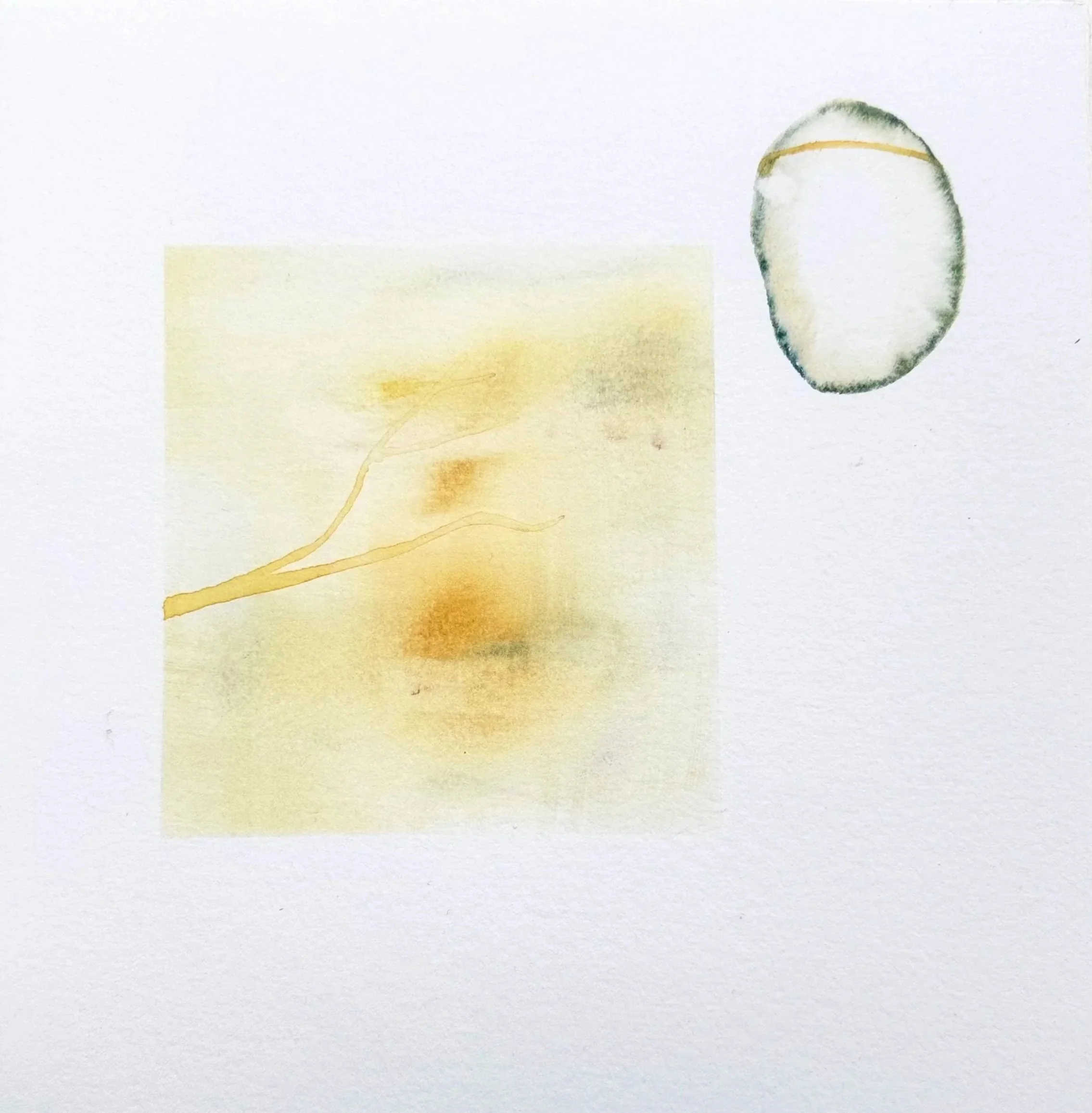 A white background with a faint yellow square and a large, irregularly shaped grayish-white oval with a yellow line around its upper edge.