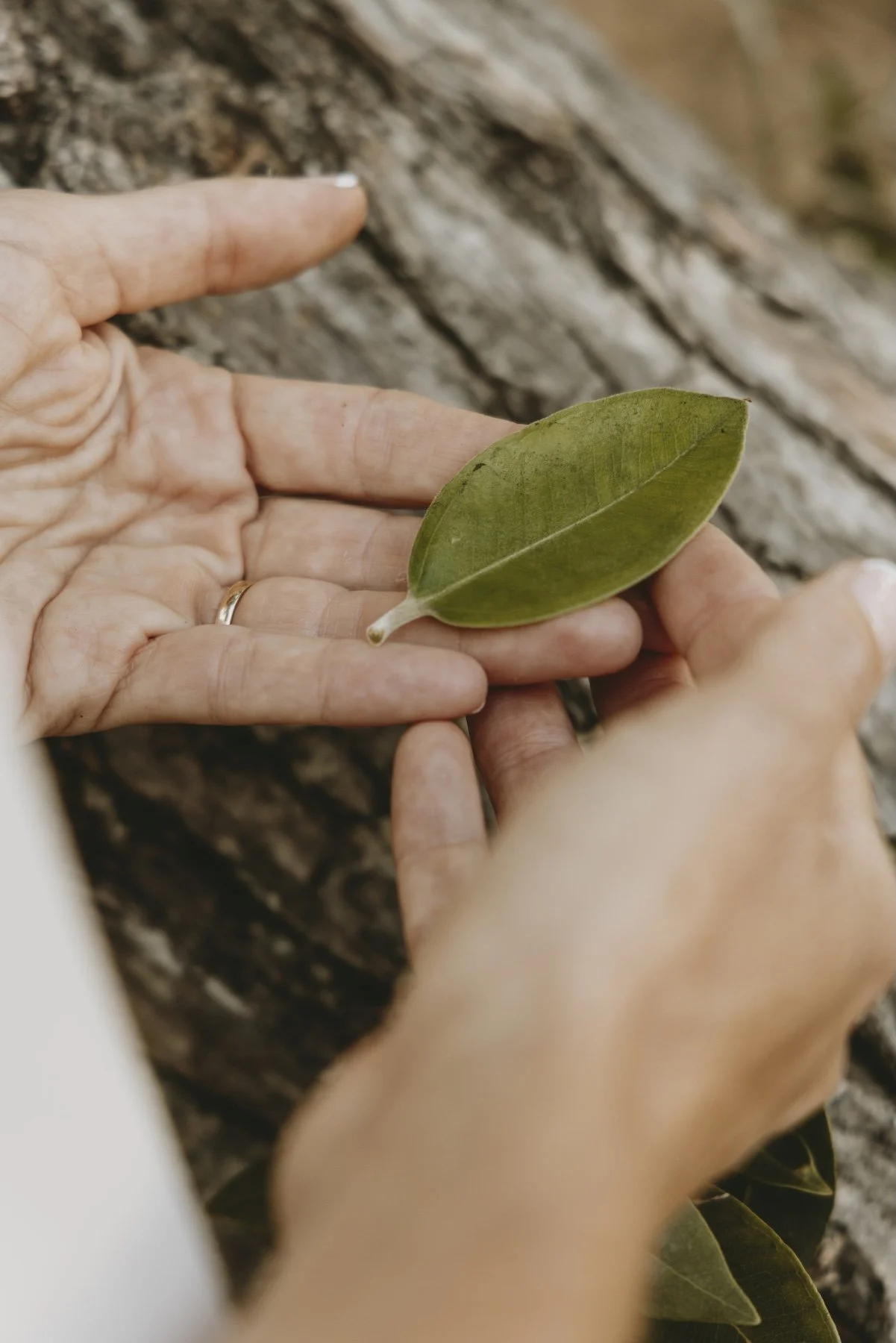 nicky-scoltock-holding-leaf.jpeg