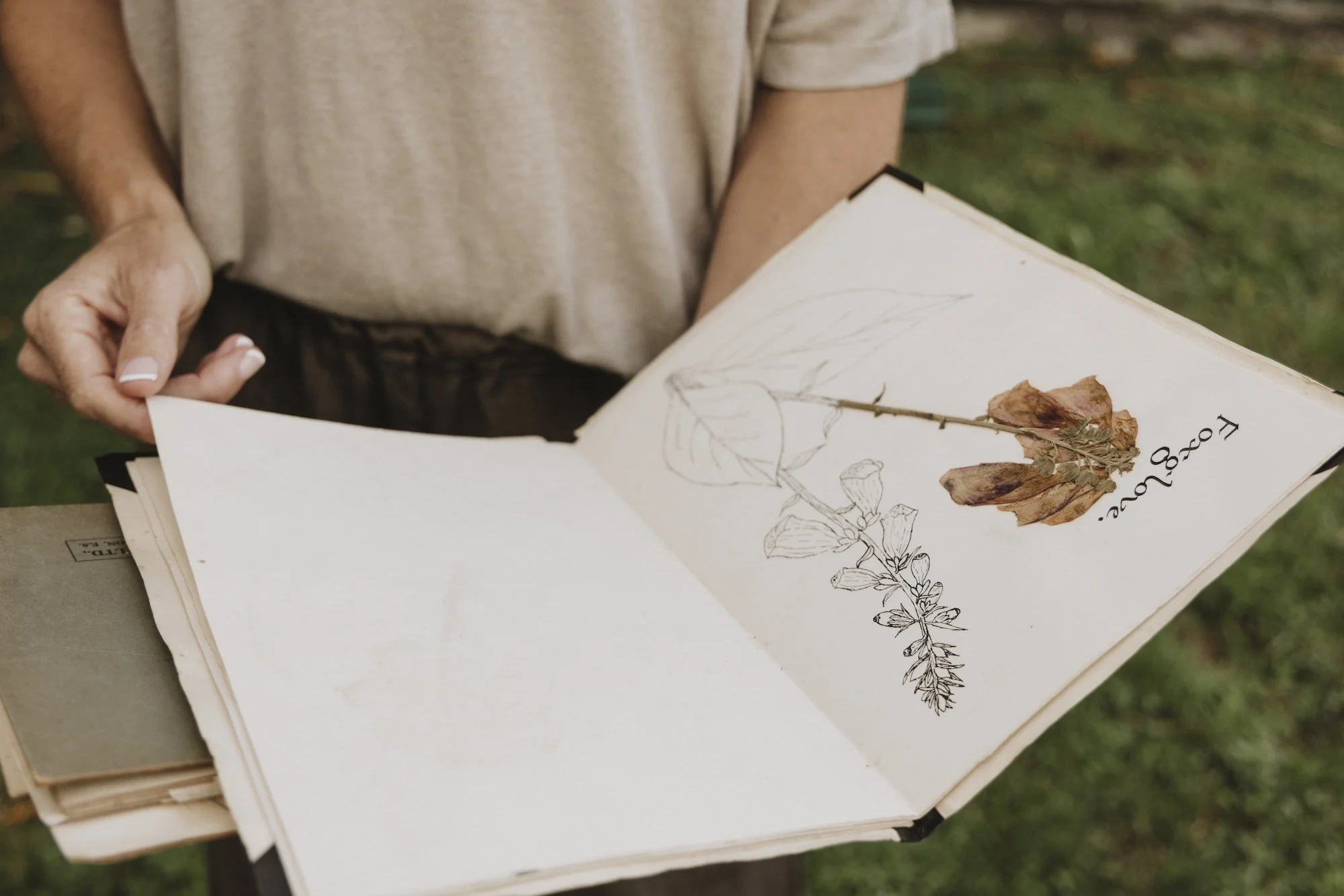 aunt-pegs-wild-flowers-sketchbooks-nicky-scoltock.jpg