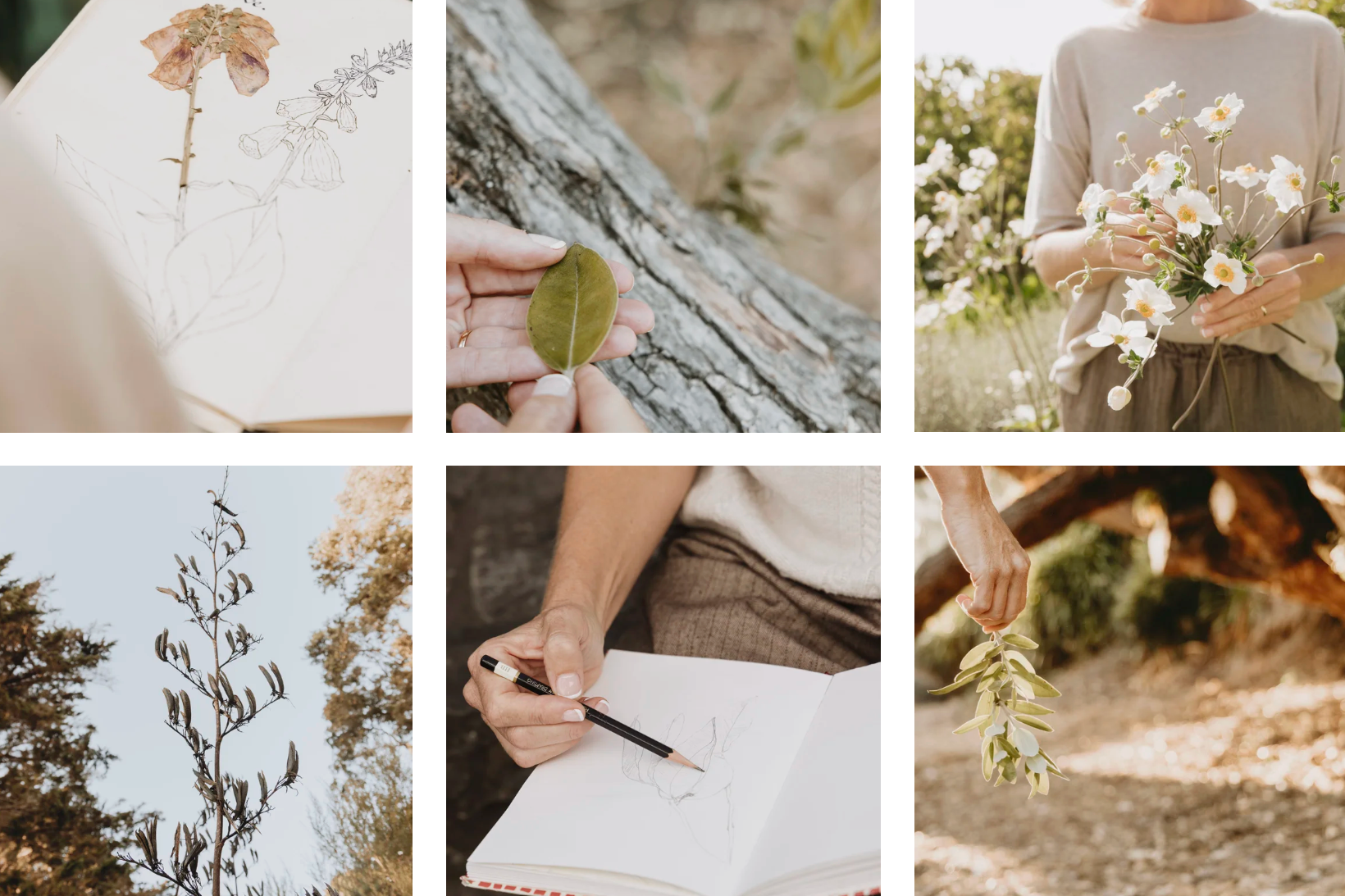 Introduction to Green Sketching Workshop