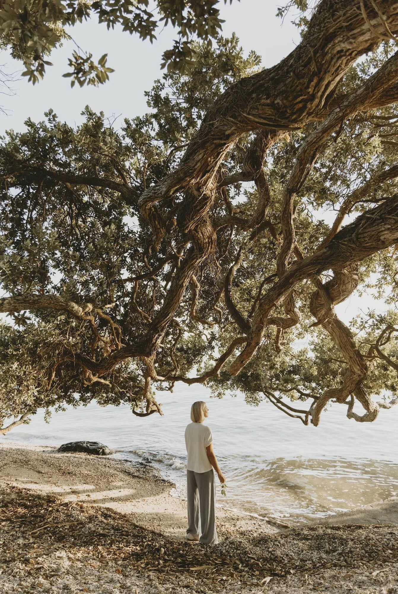 A woman standing on a beach under pohutukawas trees at Cockle Bay, looking at the ocean, with sand and rocks around her.