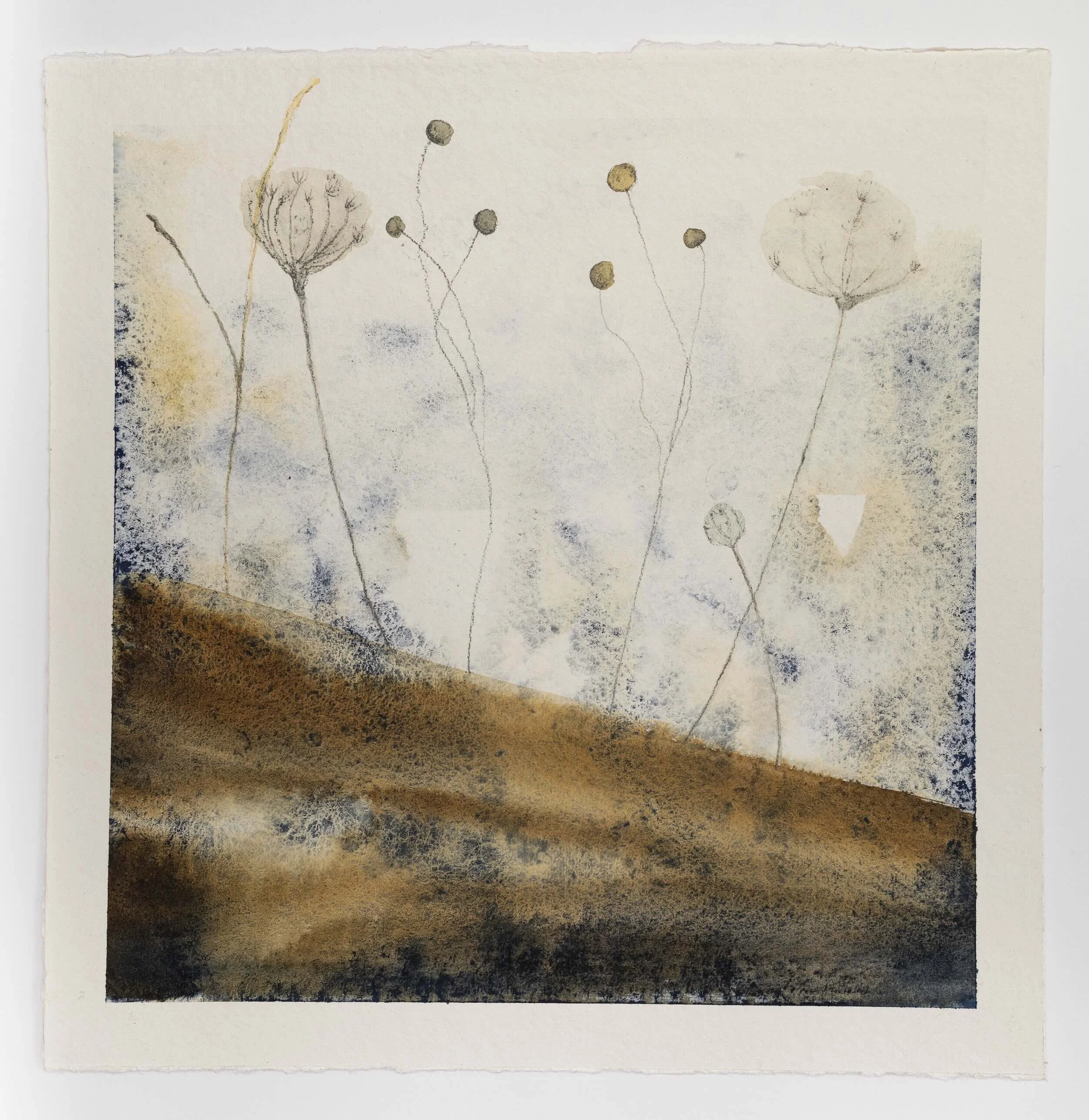 Seedpods IV