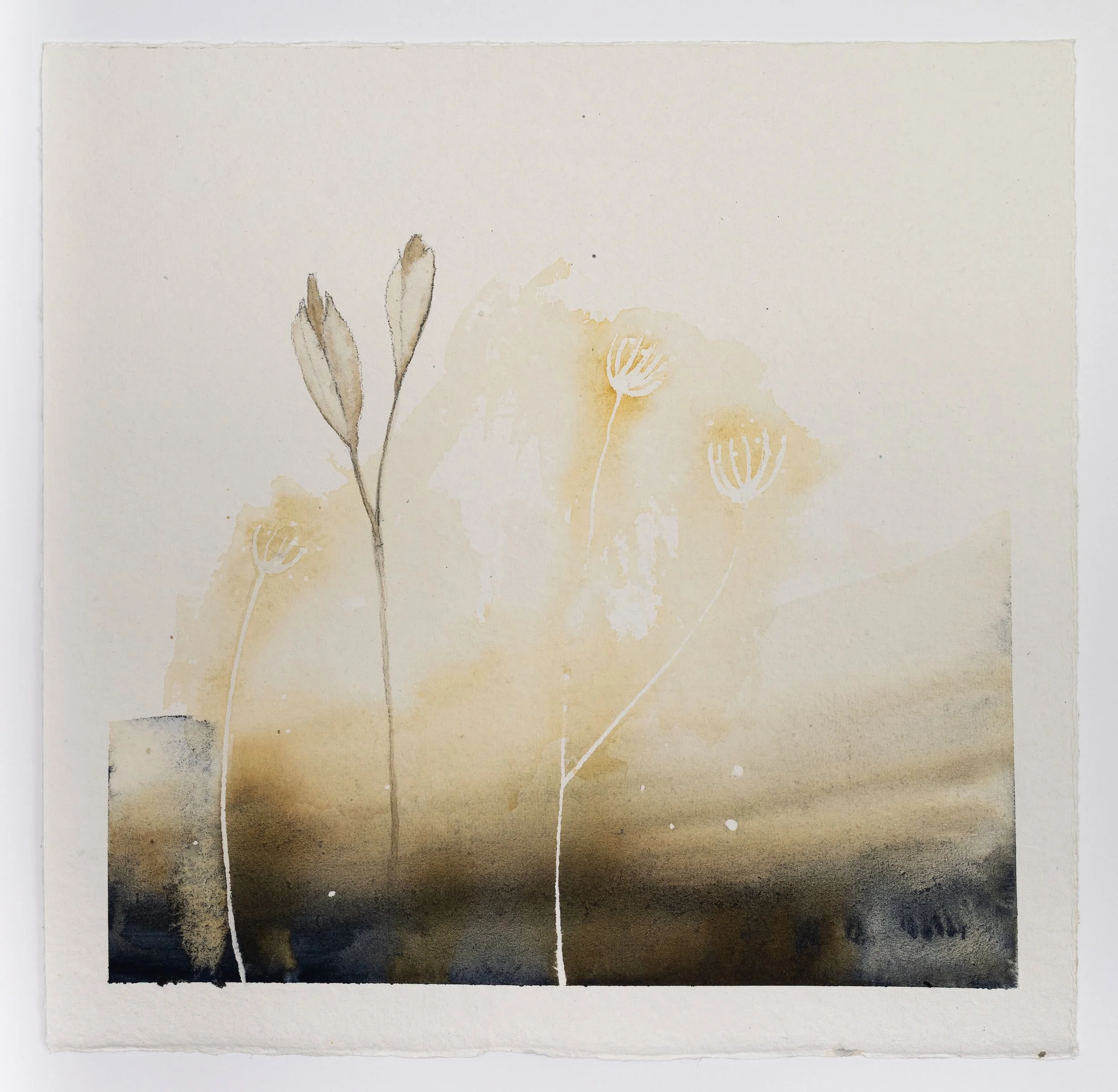 Seedpods V