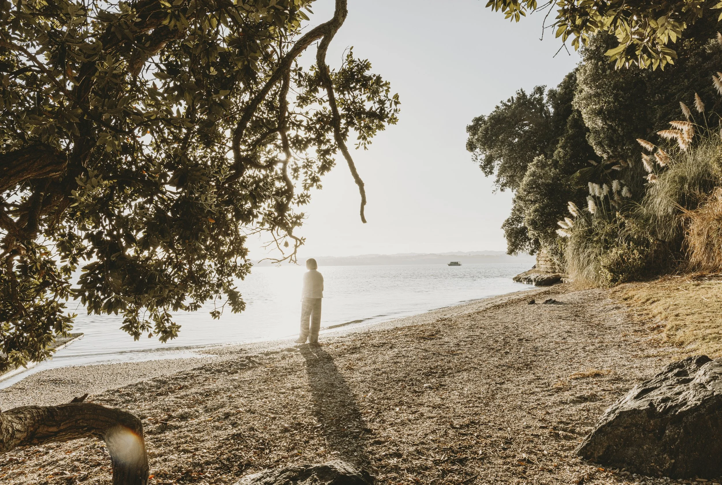 Summer in Aotearoa Group Exhibition