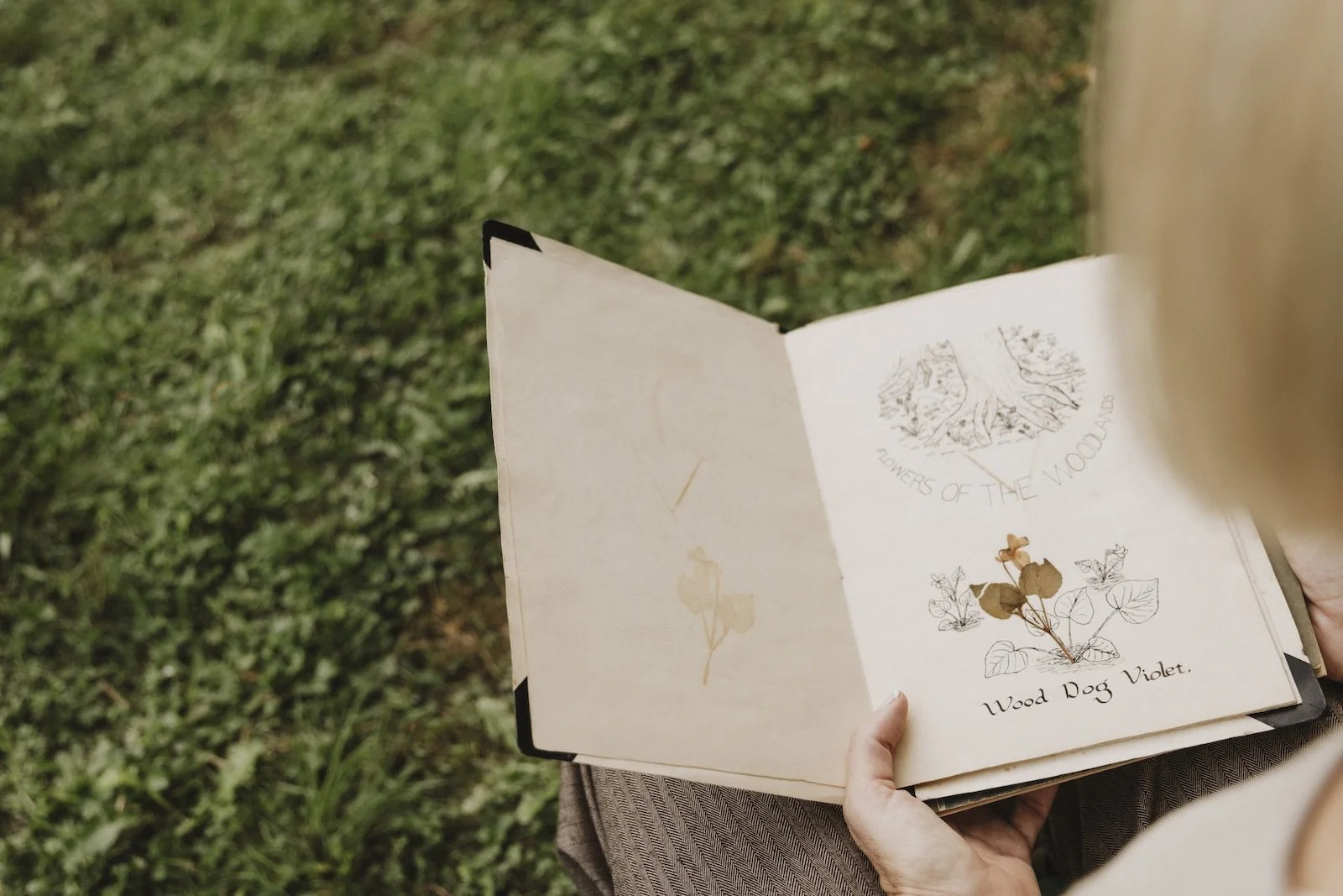 Nicky Scoltock holding an open nature sketchbook during a Green Sketching practice.
