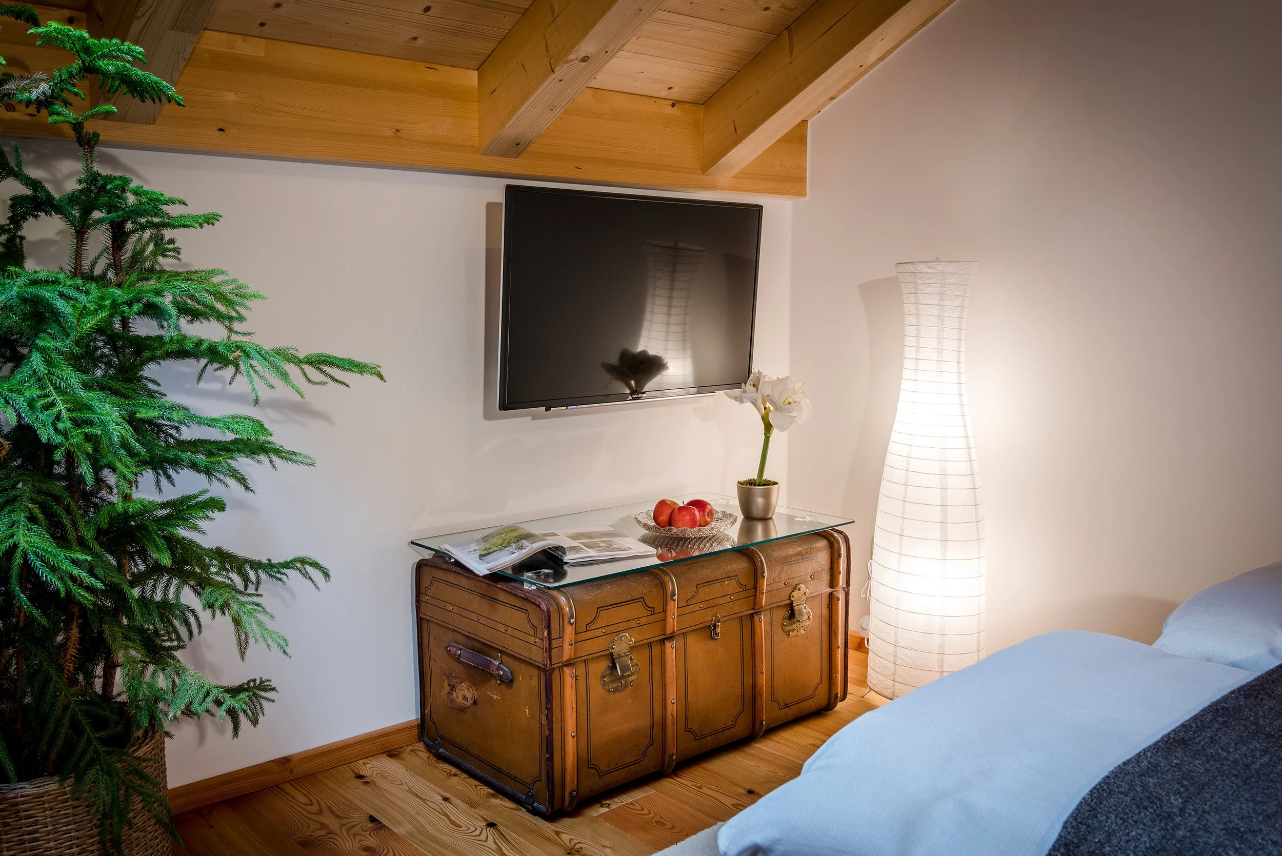 Ein Wohnzimmer mit einem Fernseher, einer Orchidee auf einem alten Truhentisch, einem weißen Stehlampe und einer Weihnachtszierpflanze im Topf.