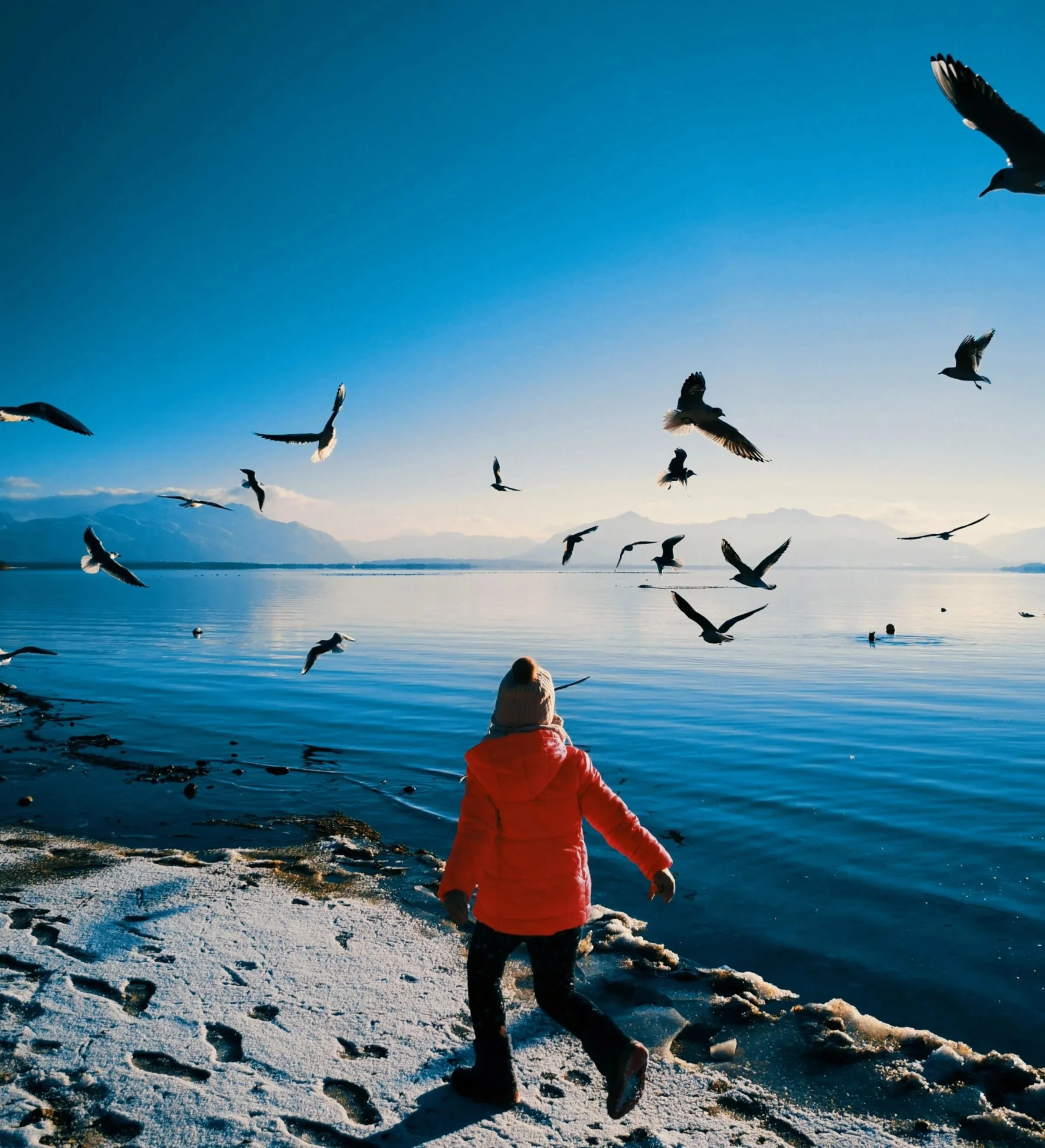 Ein Kind in einer roten Jacke steht am Ufer eines Sees im Winter, umgeben von fliegenden Vögeln bei Sonnenuntergang.