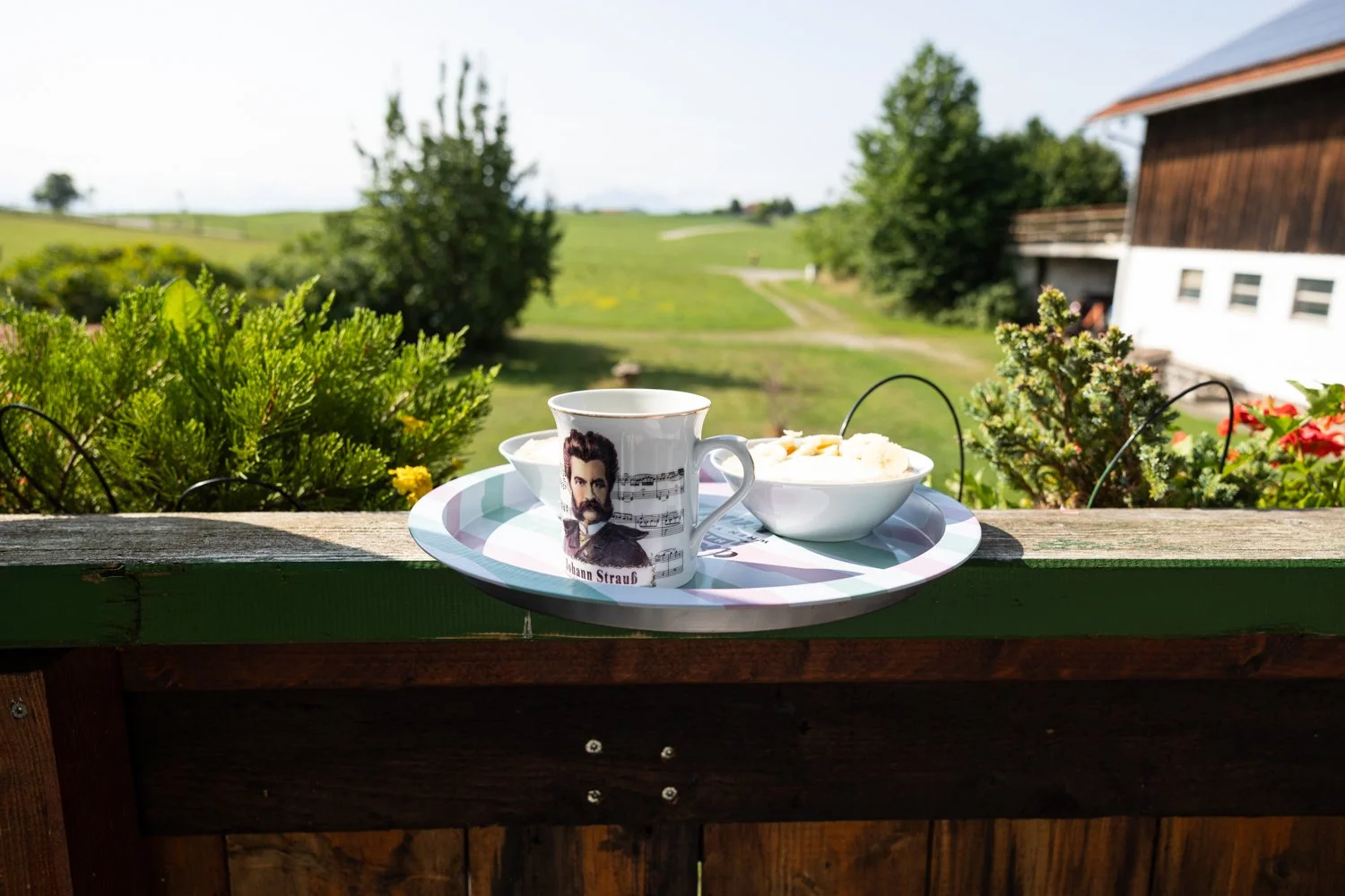 Auf einem Balkon steht ein Tablett mit einer Tasse und einer Schüssel mit Müsli. Im Hintergrund eine grüne Landschaft mit Bäumen, Wiesen, einem Bauernhaus und den Alpen.