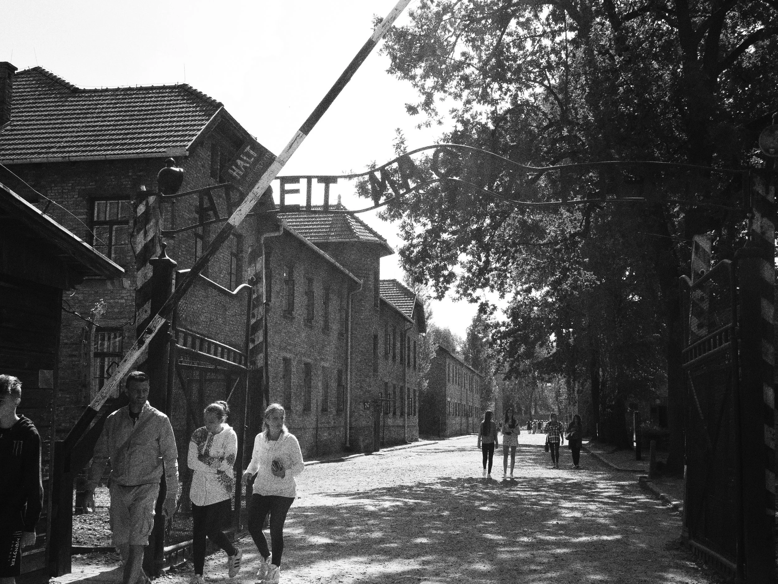 A street scene in a residential neighborhood with old brick buildings, a Tree-lined street, and several people walking. The photo is in black and white.