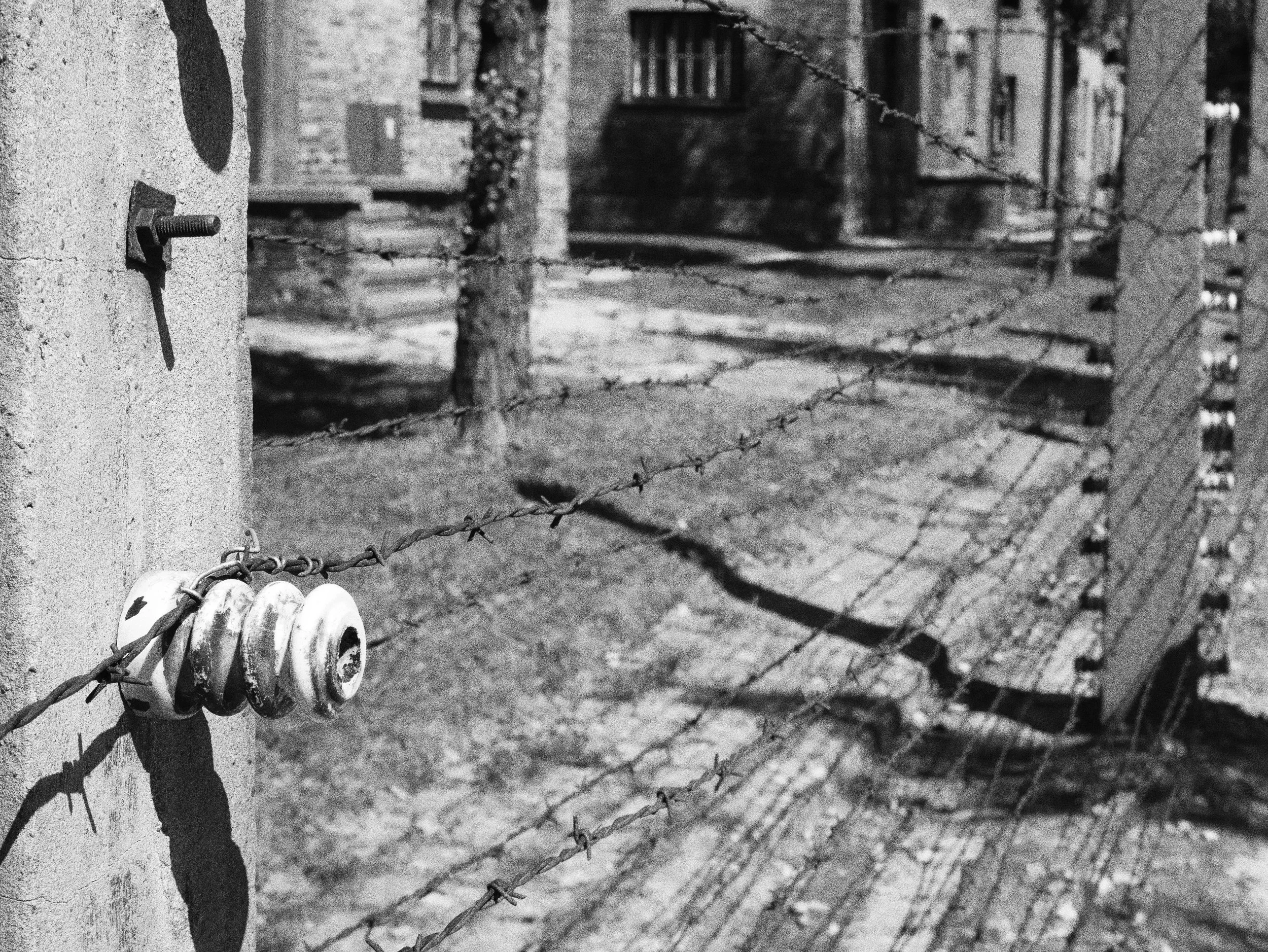 Black and white photo of a barbed wire fence attached to concrete posts, with residential buildings in the background.