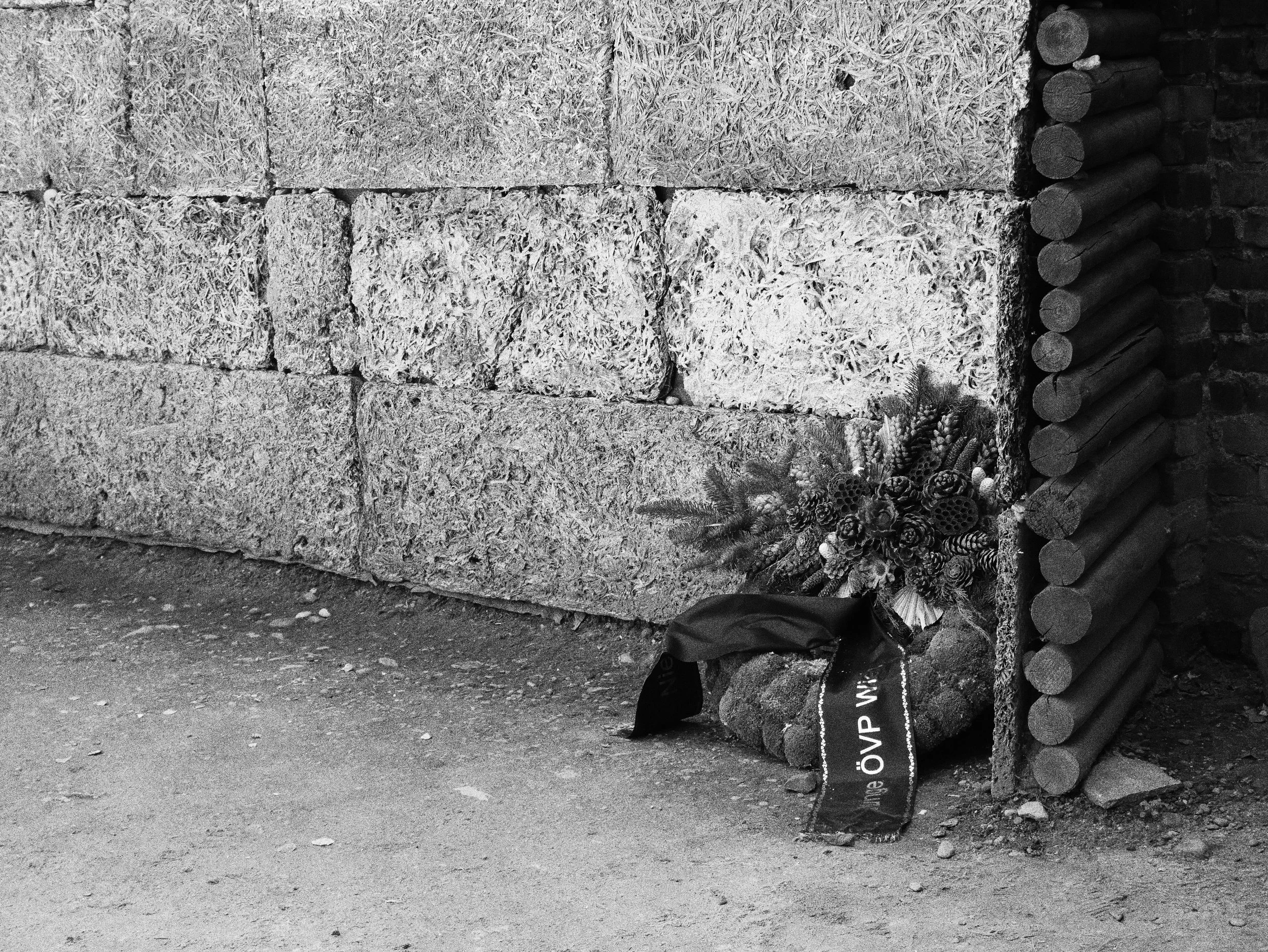 A stack of firewood logs arranged against a stone wall, with a camouflage-patterned cloth and pinecones at the base, on a dirt ground.