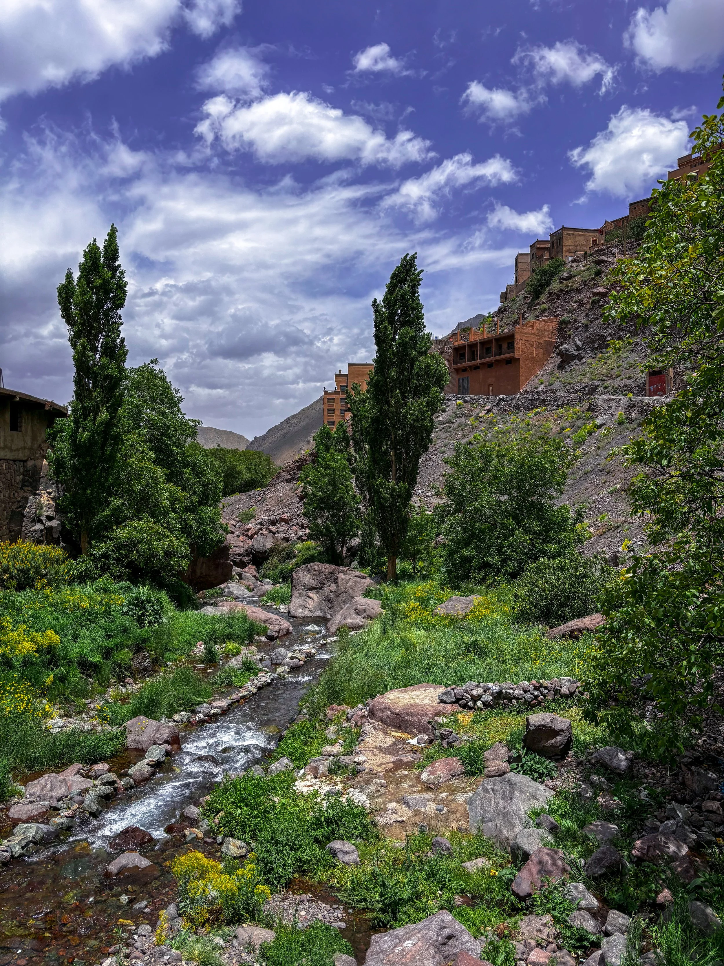 A mountain landscape with a small stream flowing through green grass and yellow flowers, tall trees, and brown buildings on the hillside under a partly cloudy sky.