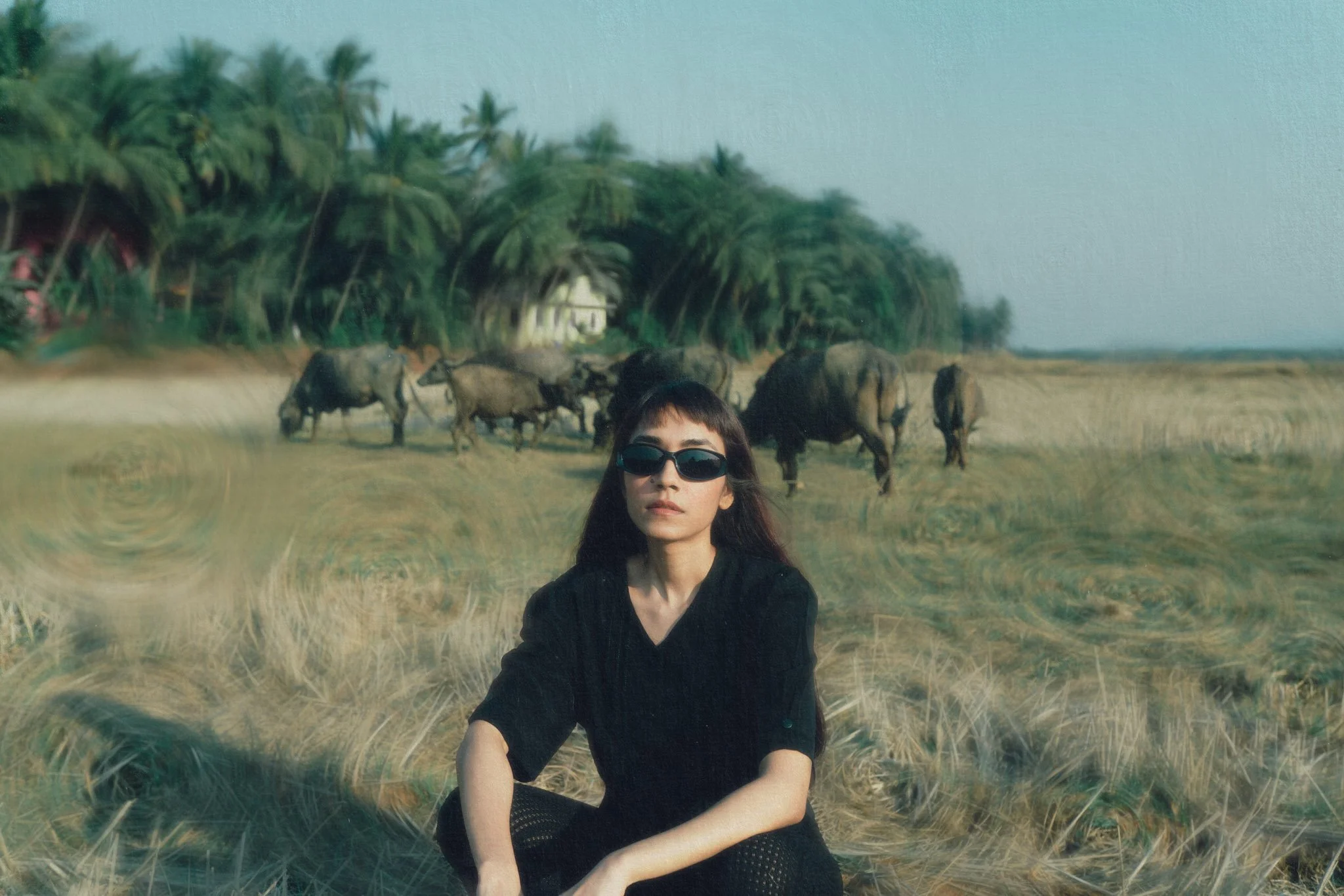 SHE02342-Edit.jpg