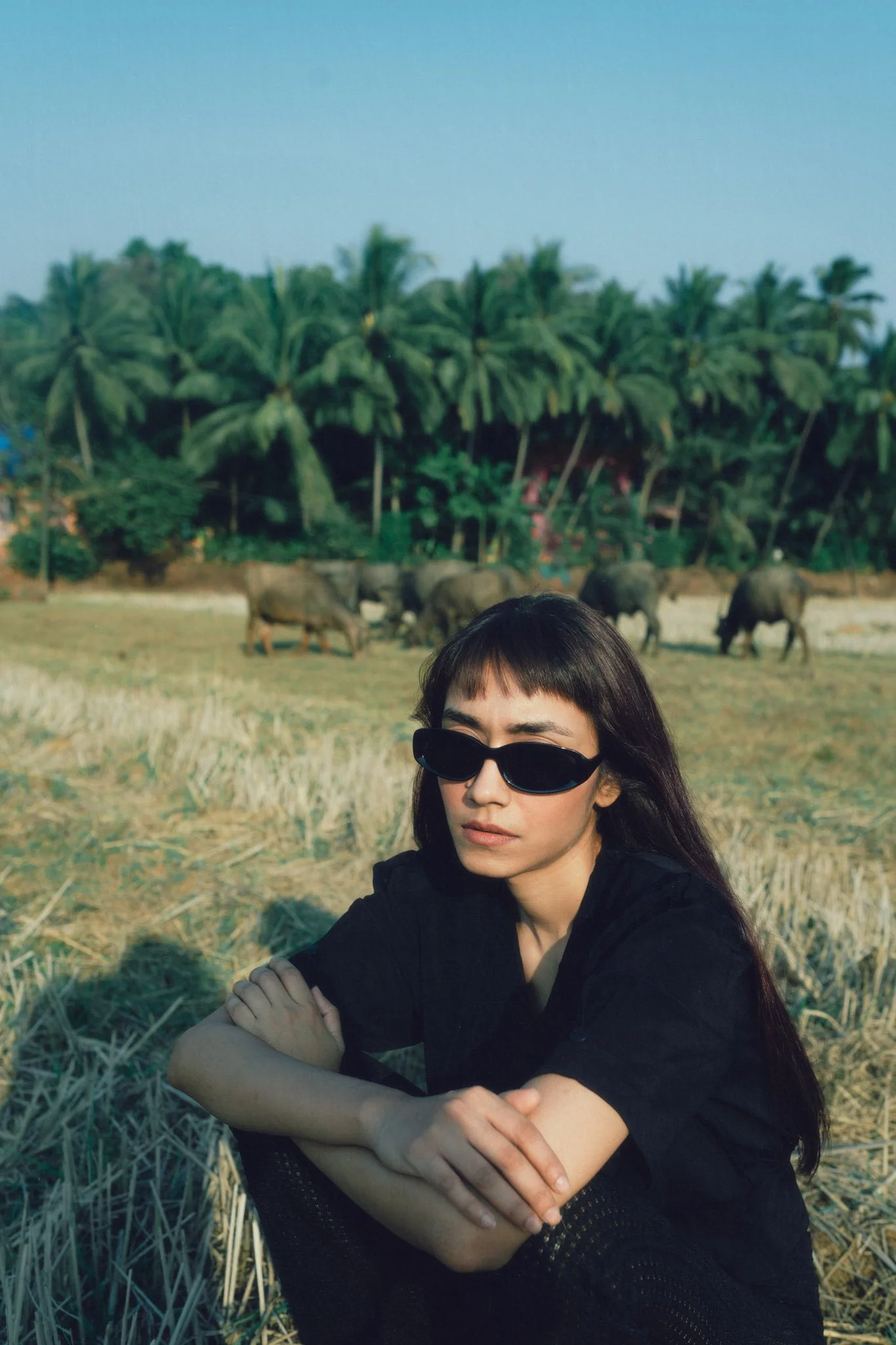 A woman with long dark hair and sunglasses sitting in a field with elephants and palm trees in the background.