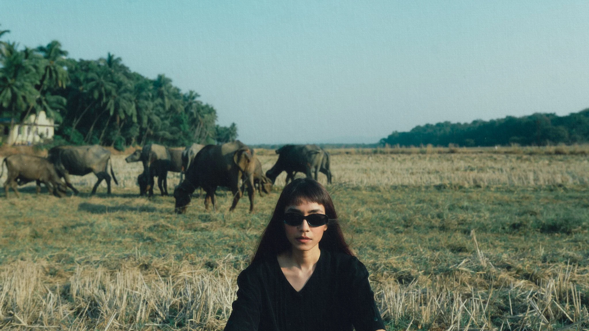 A woman with long dark hair, wearing black sunglasses and black clothing, sitting in a field of harvested crops with elephants grazing behind her, lush greenery, and trees in the background.