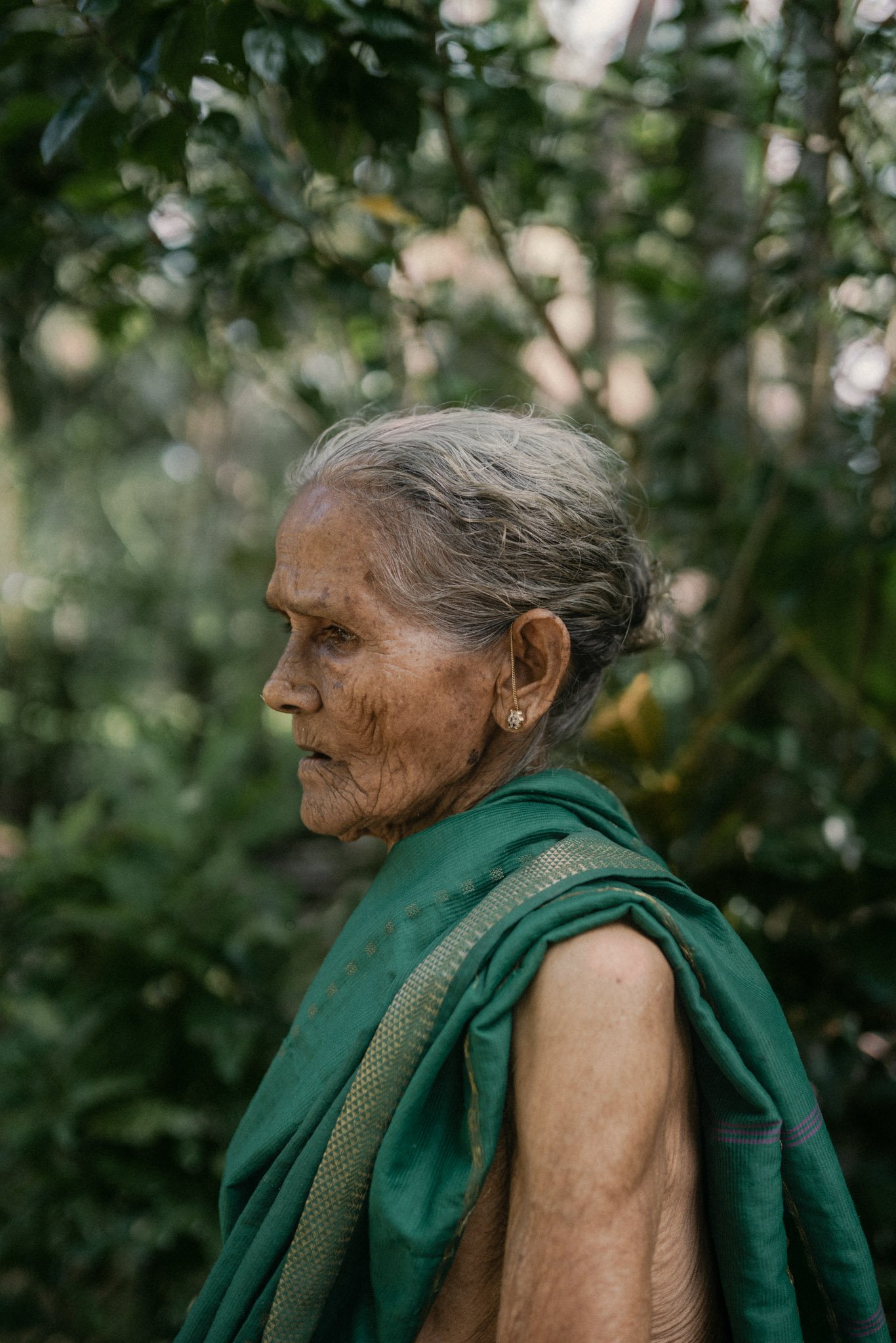 Close-up of an elderly woman with gray hair wearing a green sari, standing outdoors among green foliage.