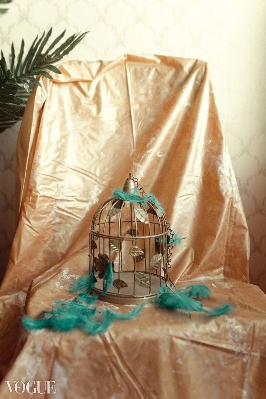 Small decorative birdcage with teal feathers and leaves, placed on crumpled gold foil wrapping paper, with a leafy plant partially visible on the left side and a beige patterned wall in the background.