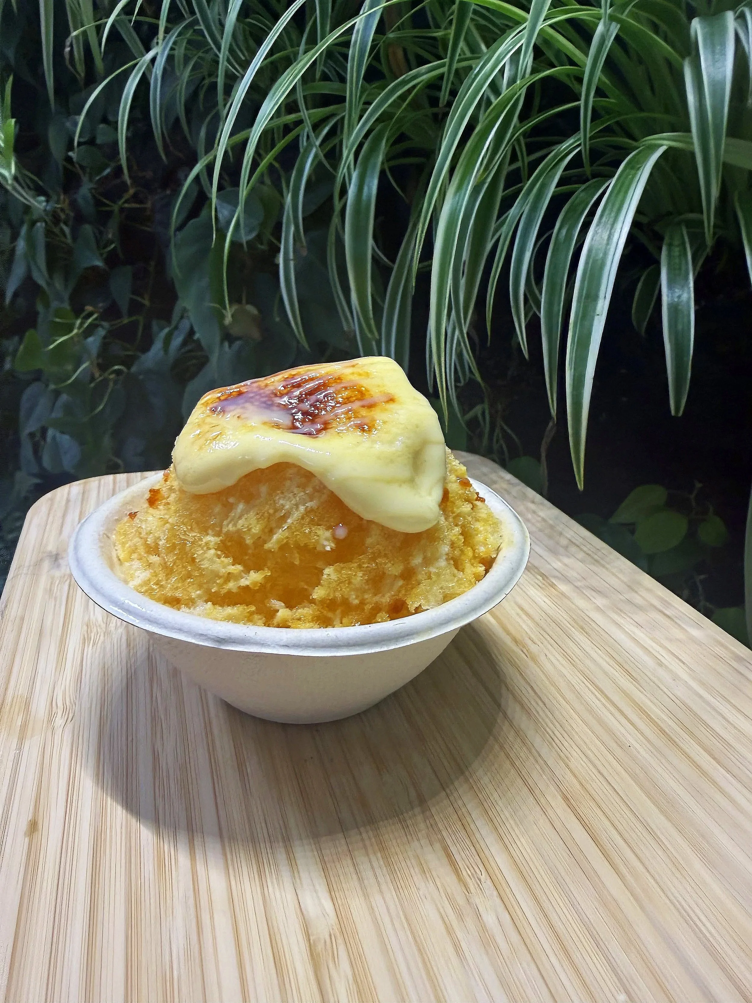 A bowl of shaved ice topped with a yellowish sauce and melted cheese, placed on a wooden surface, with green plants in the background.