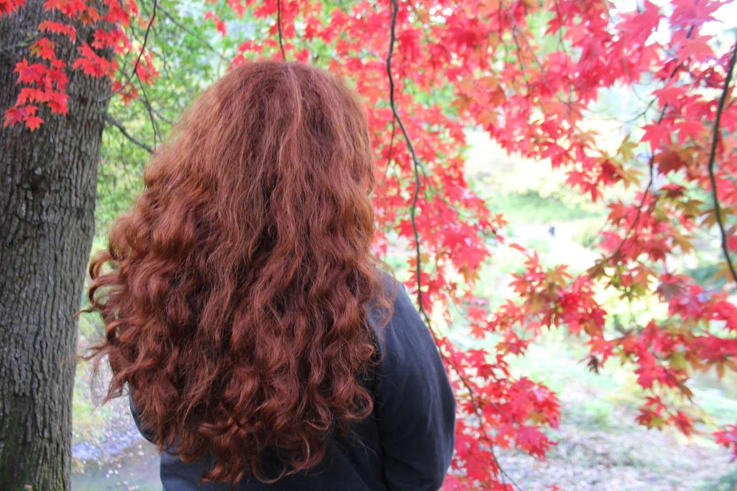 Saying Farewell To Autumn At The Enchanting National Trust Bodnant Garden