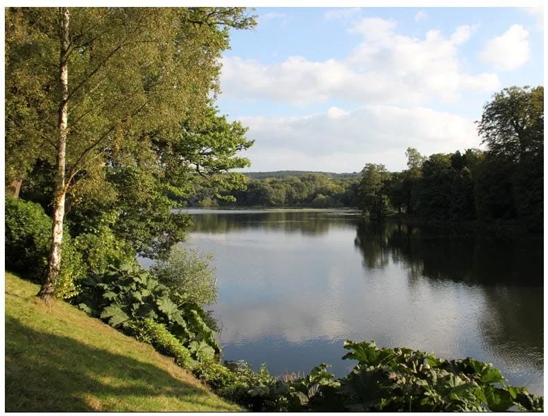 A Day At Harewood House Admiring The Capability Brown Garden