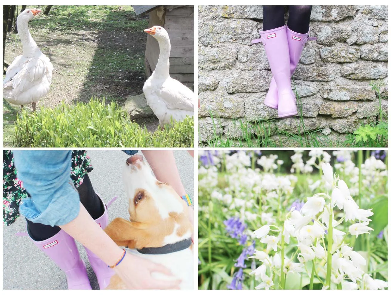 Relaxing Getaway in Rural France with Hunter Wellies