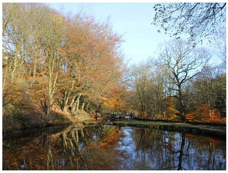 Exploring The Colne Valley With Northern