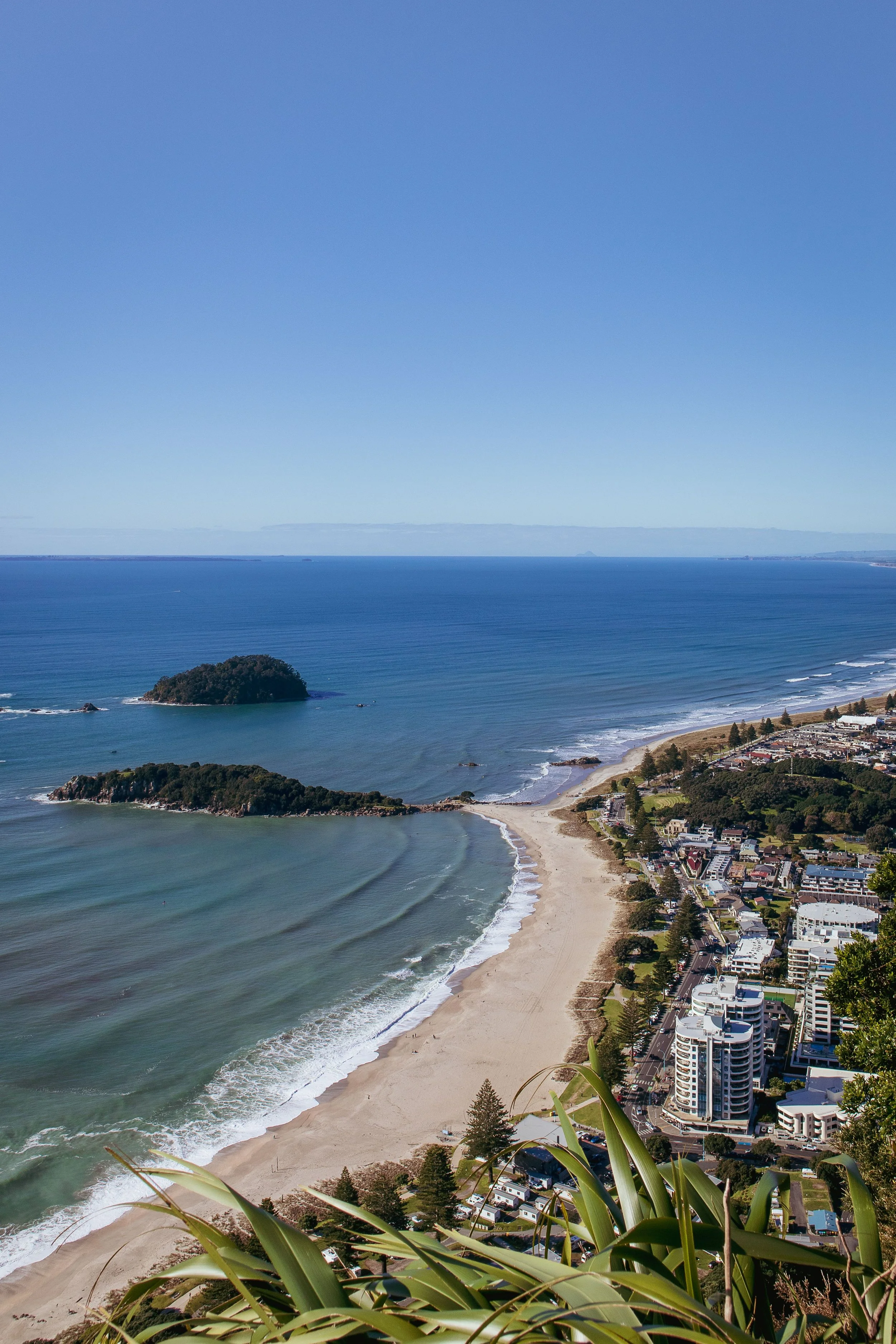 psychology in tauranga mount maunganui assessments
