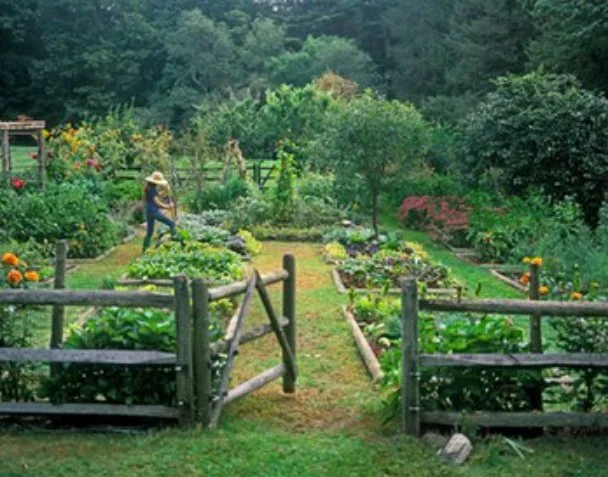 homestead1.jpg