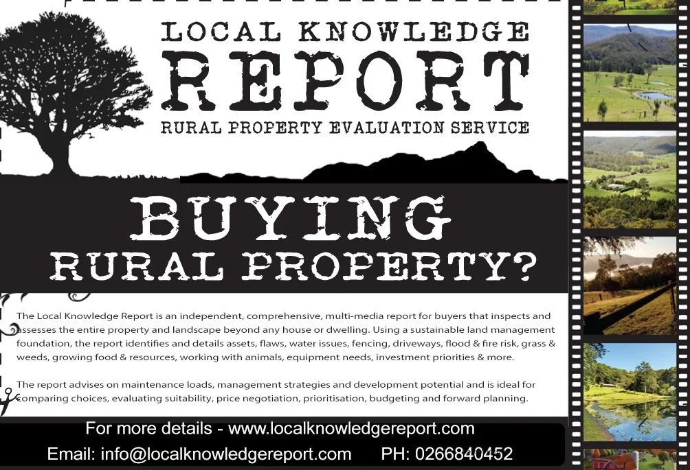 LKR banner ad.jpg