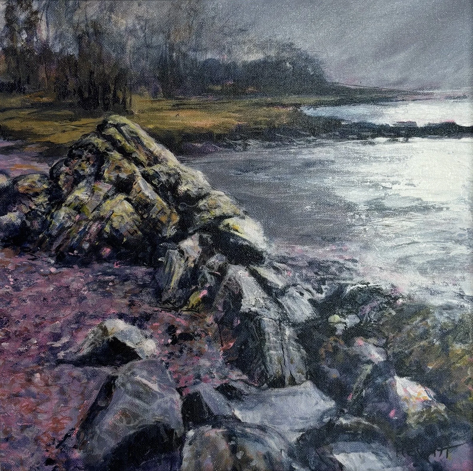 Foreshore, Sandyhills