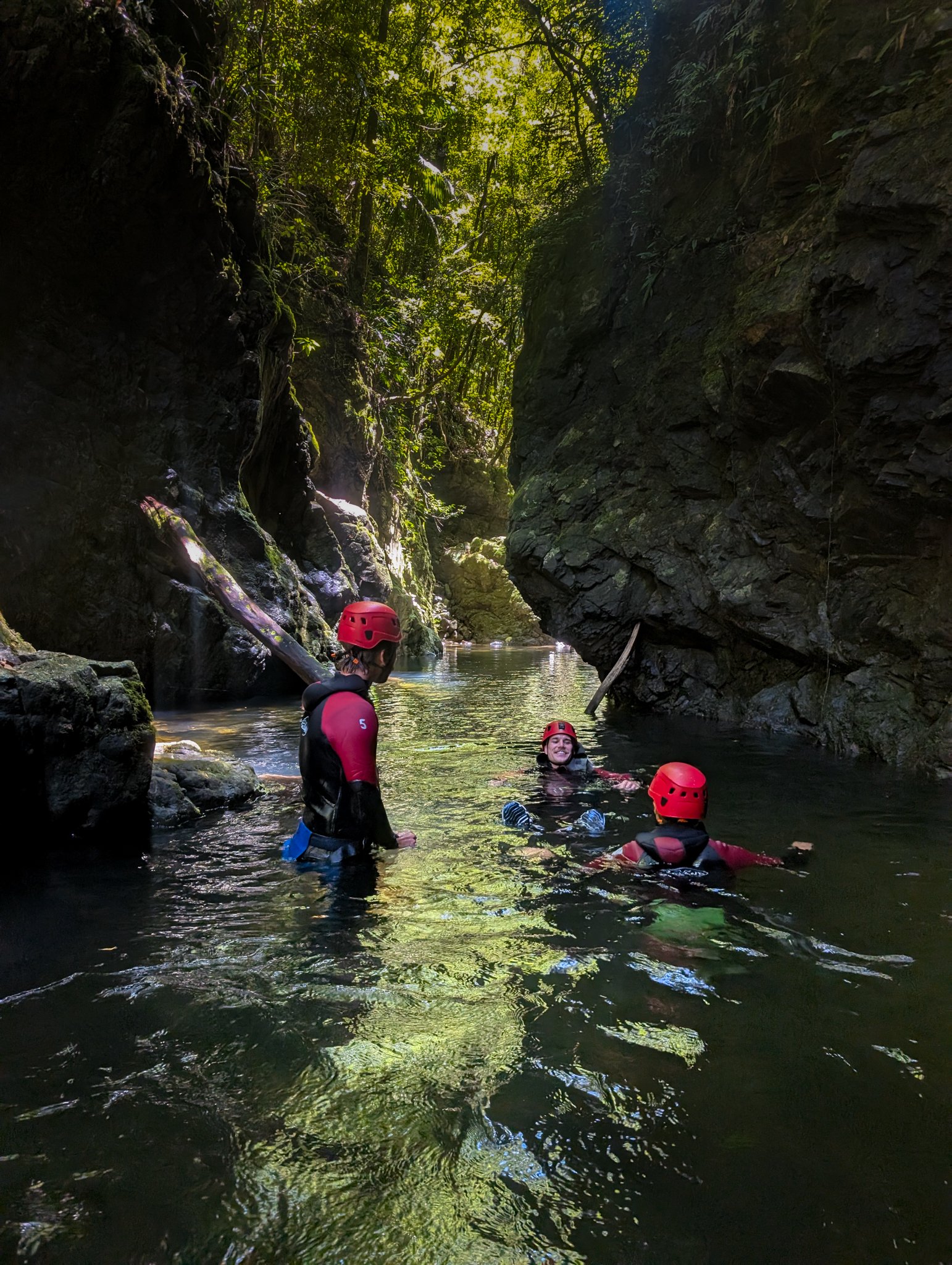 Group of people wearing helmets and wetsuits, standing and swimming in a narrow canyon with steep rocky walls and lush green foliage overhead.