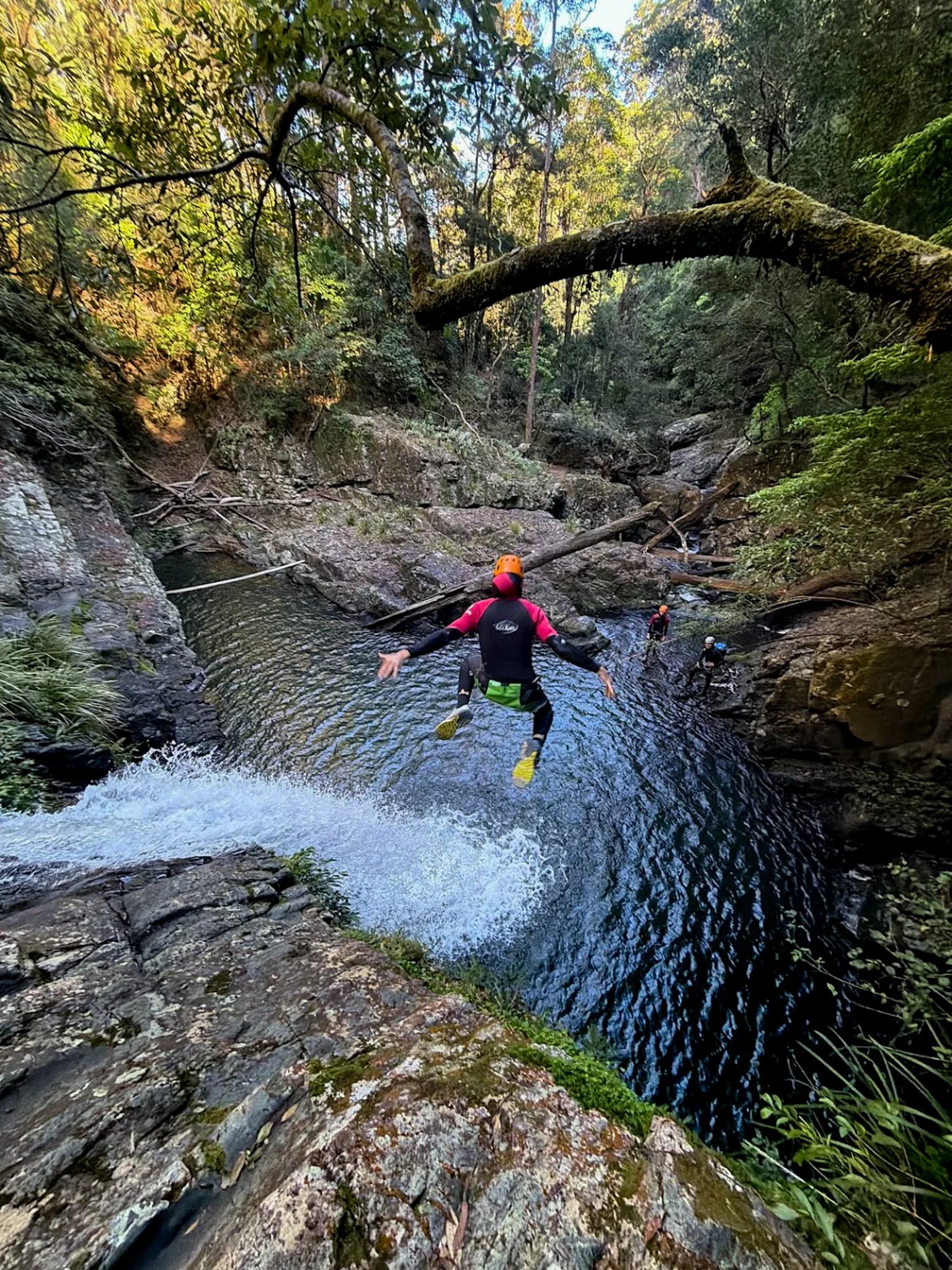 Canyoner moving across a rocky pool beneath a fallen tree in a forest gorge.