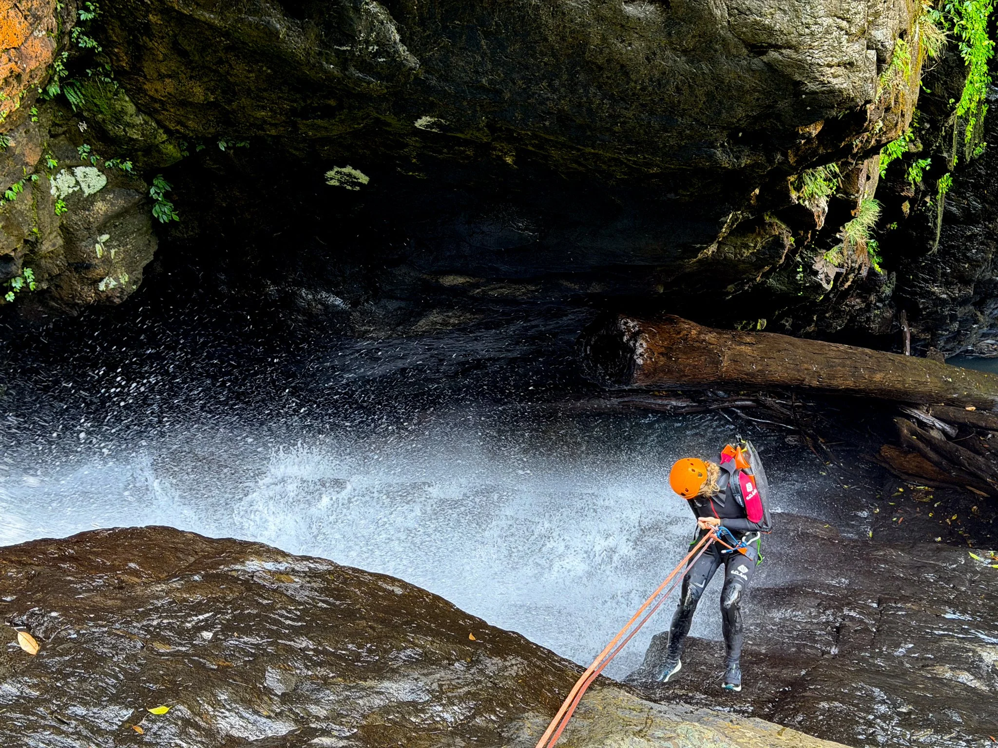 A waterfall flowing through a lush Coffs Coast rainforest canyon